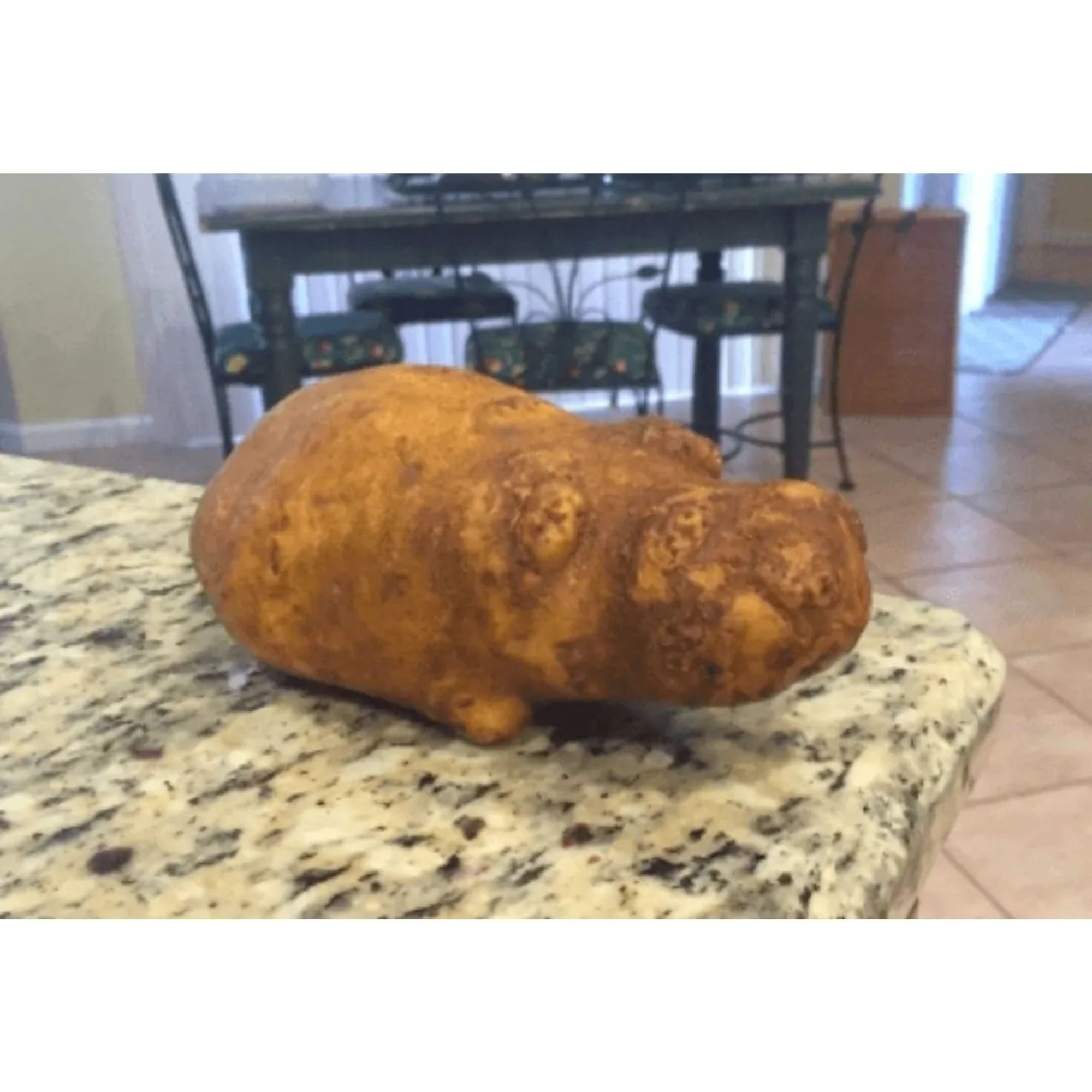 A potato that resembles a hippopotamus. Potatoes are often associated with Idaho.