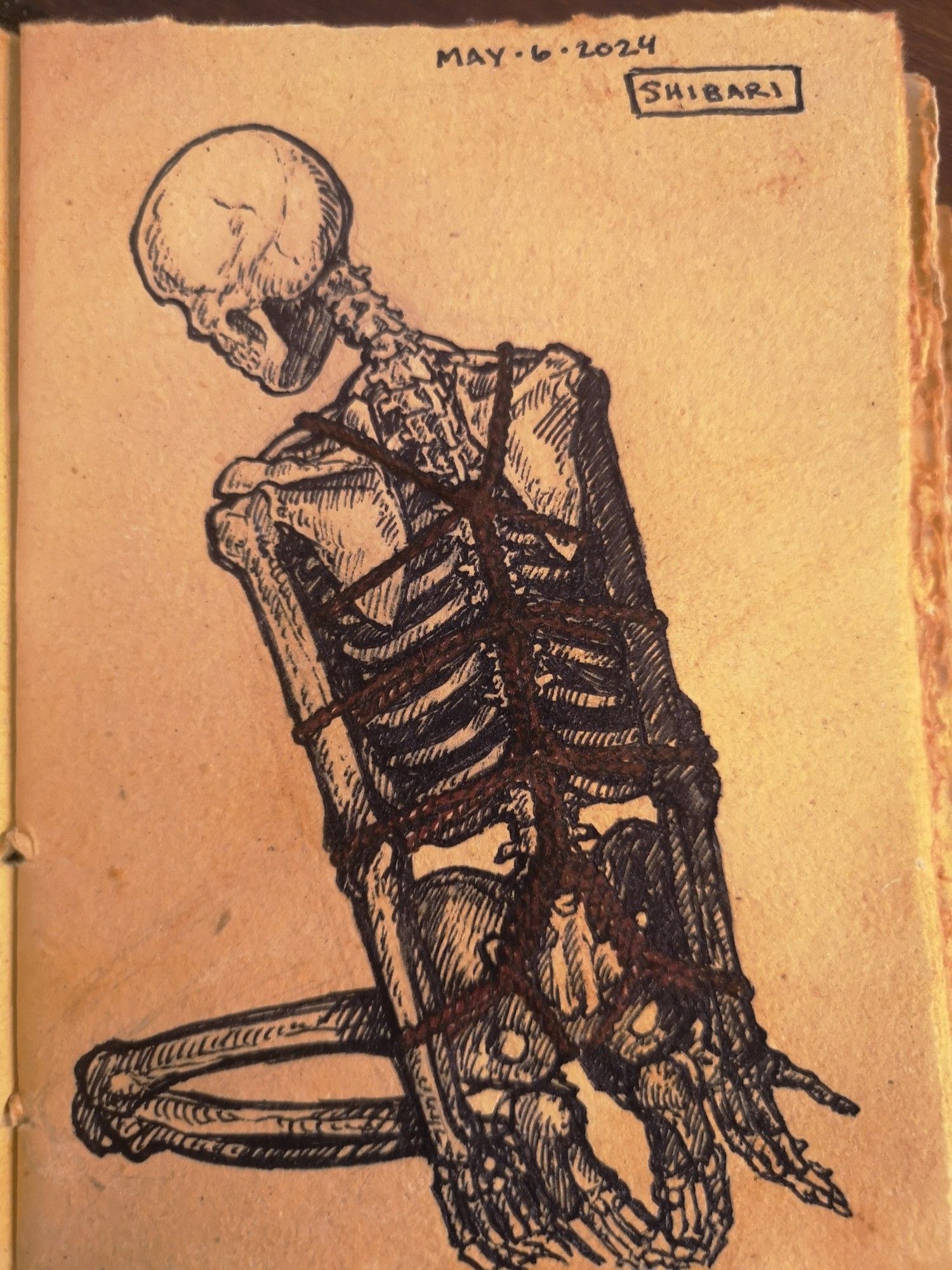 Rough black ink sketch on parchment style paper, of a human skeleton kneeling on the ground, their back facing the viewer. There are red shibari ropes tied around their torso and arm bones.