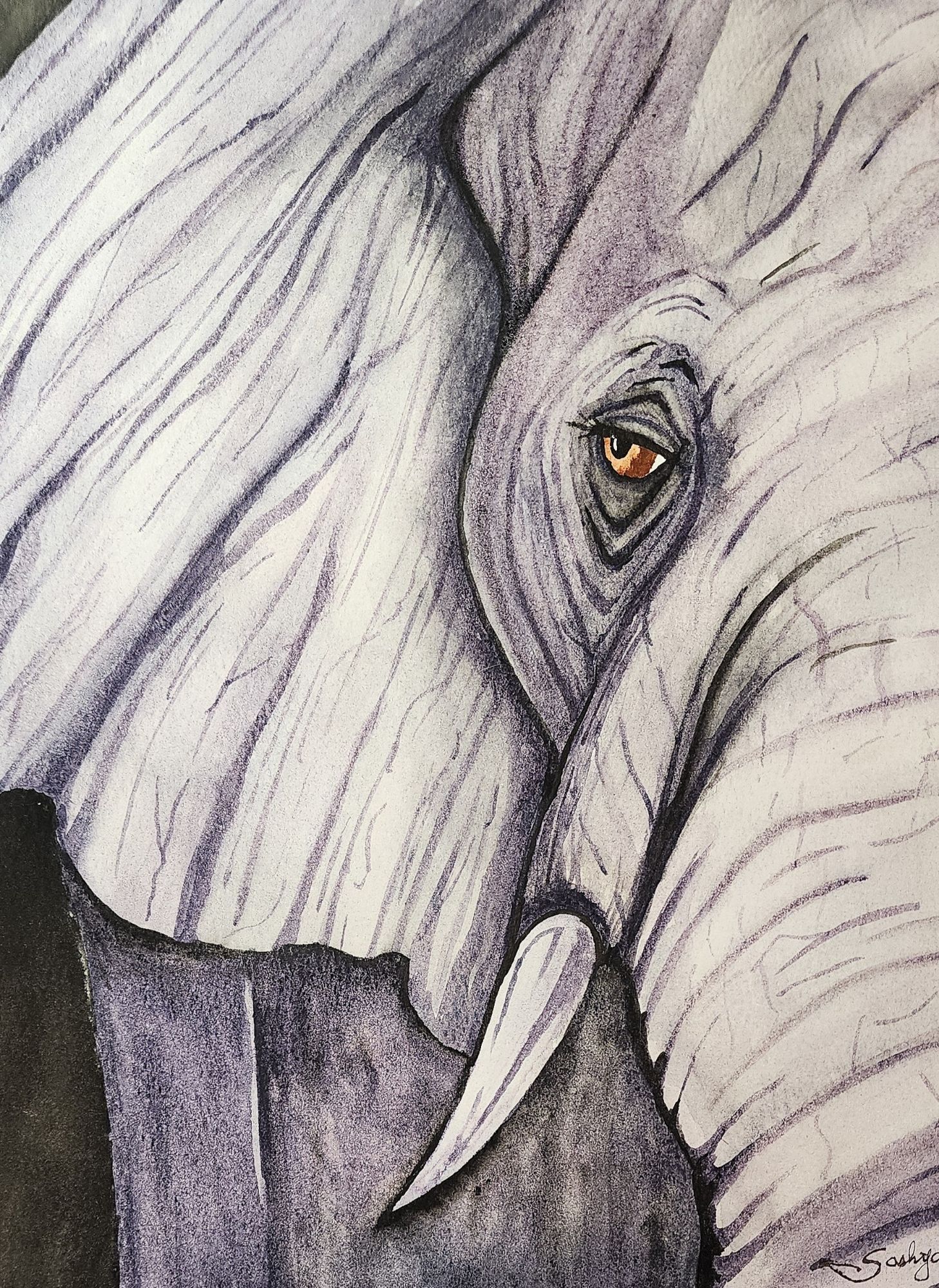 A watercolor painting of an elephant close up. You can see half of her trunk and half of her ear. The eye, while not centered  is the focal point.