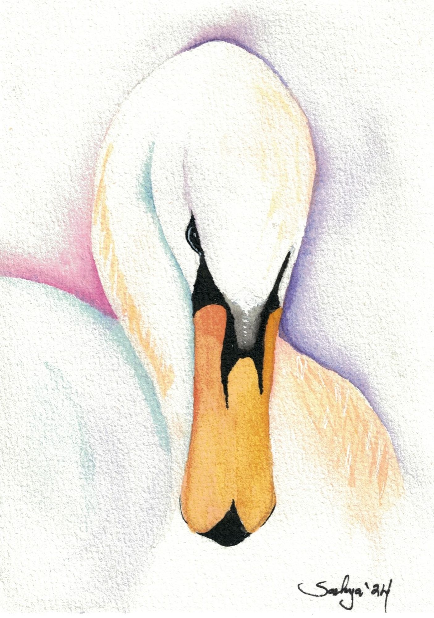 A watercolor painting done in almost negative space of a swan. Outlining the swan are various colors fading into white.