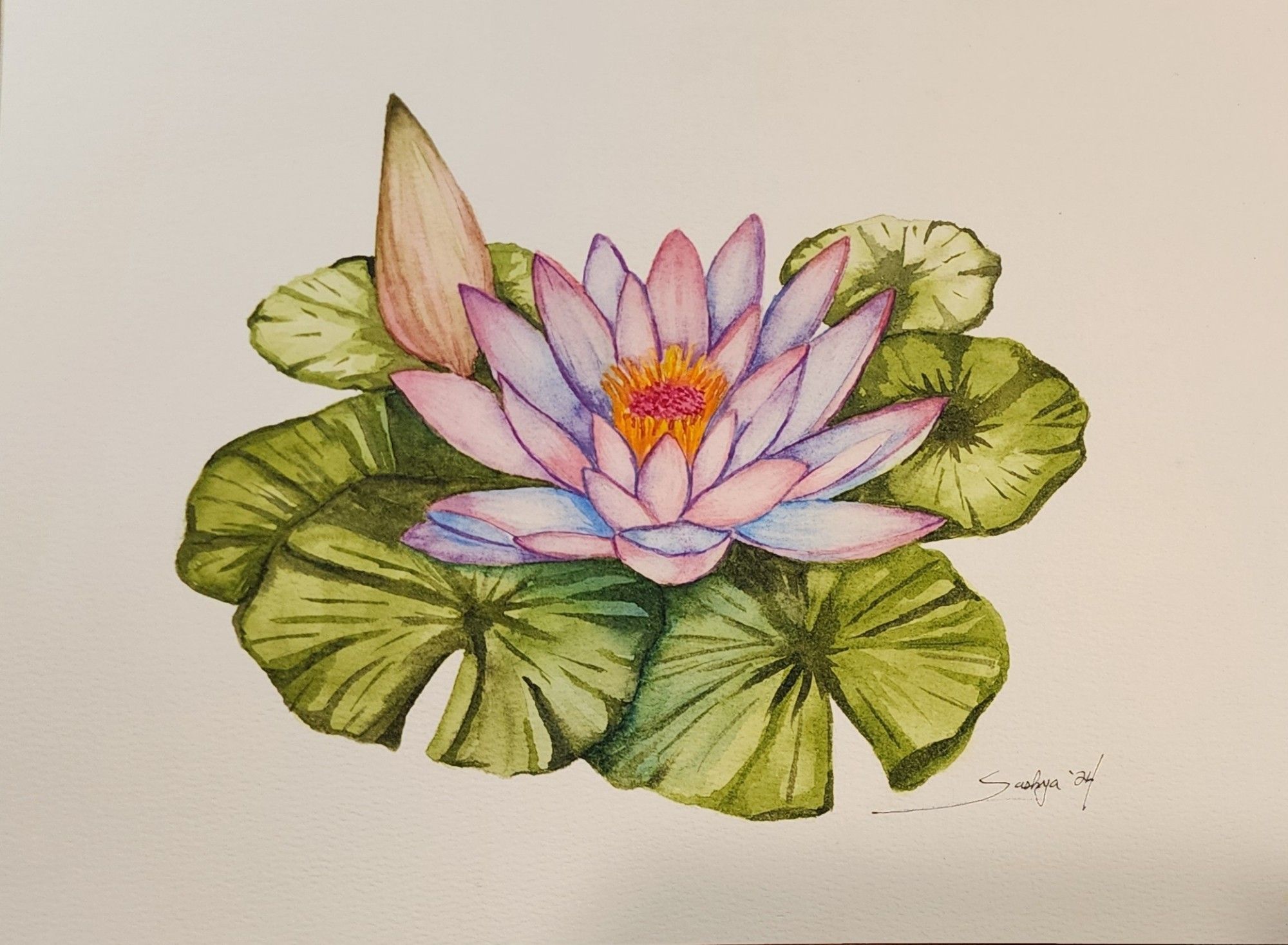 A watercolor painting of a purple and pink lotus with blue highlights resting on a bed of green lily pads.