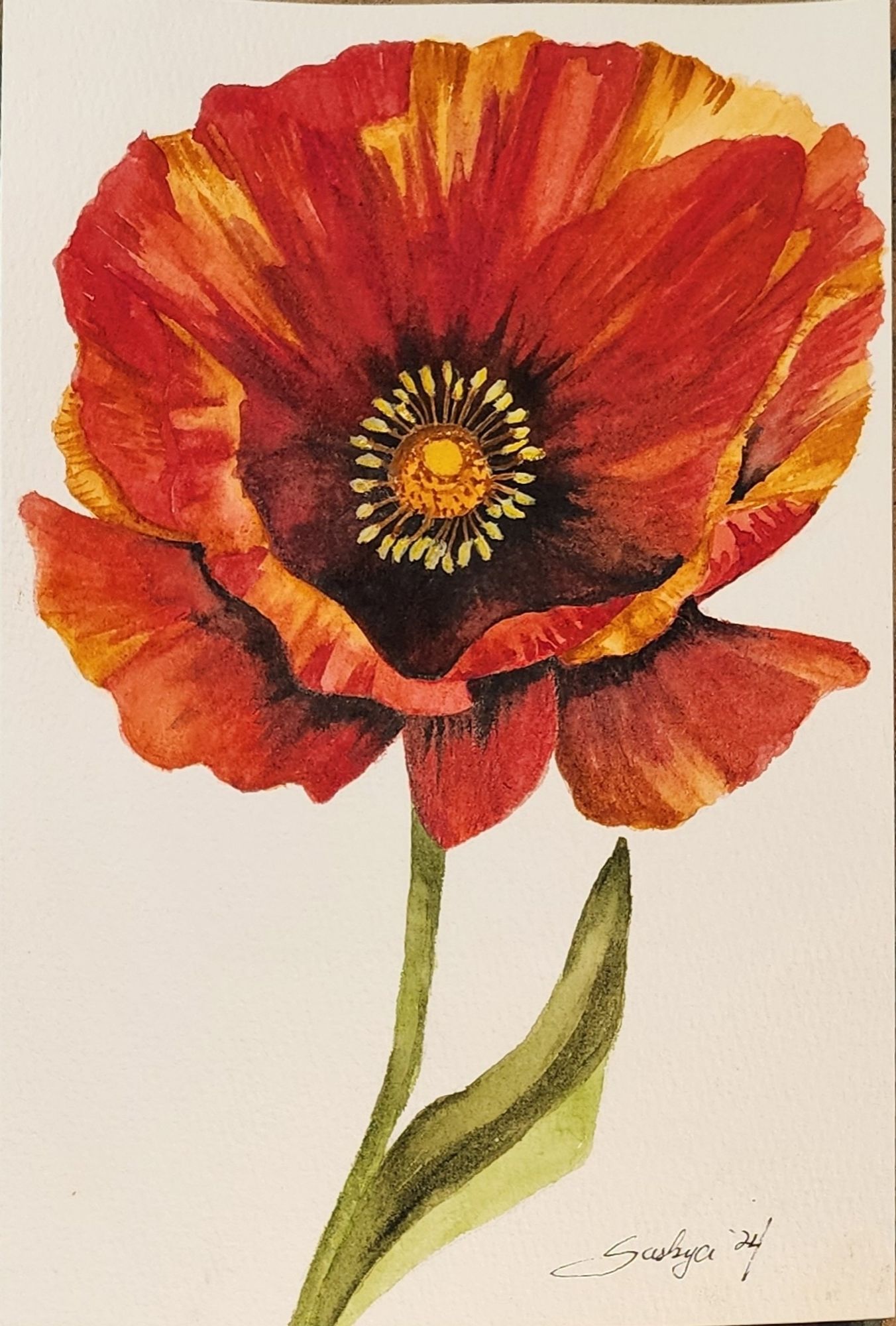 A watercolor painting of a red and orange poppy with the single green stem.