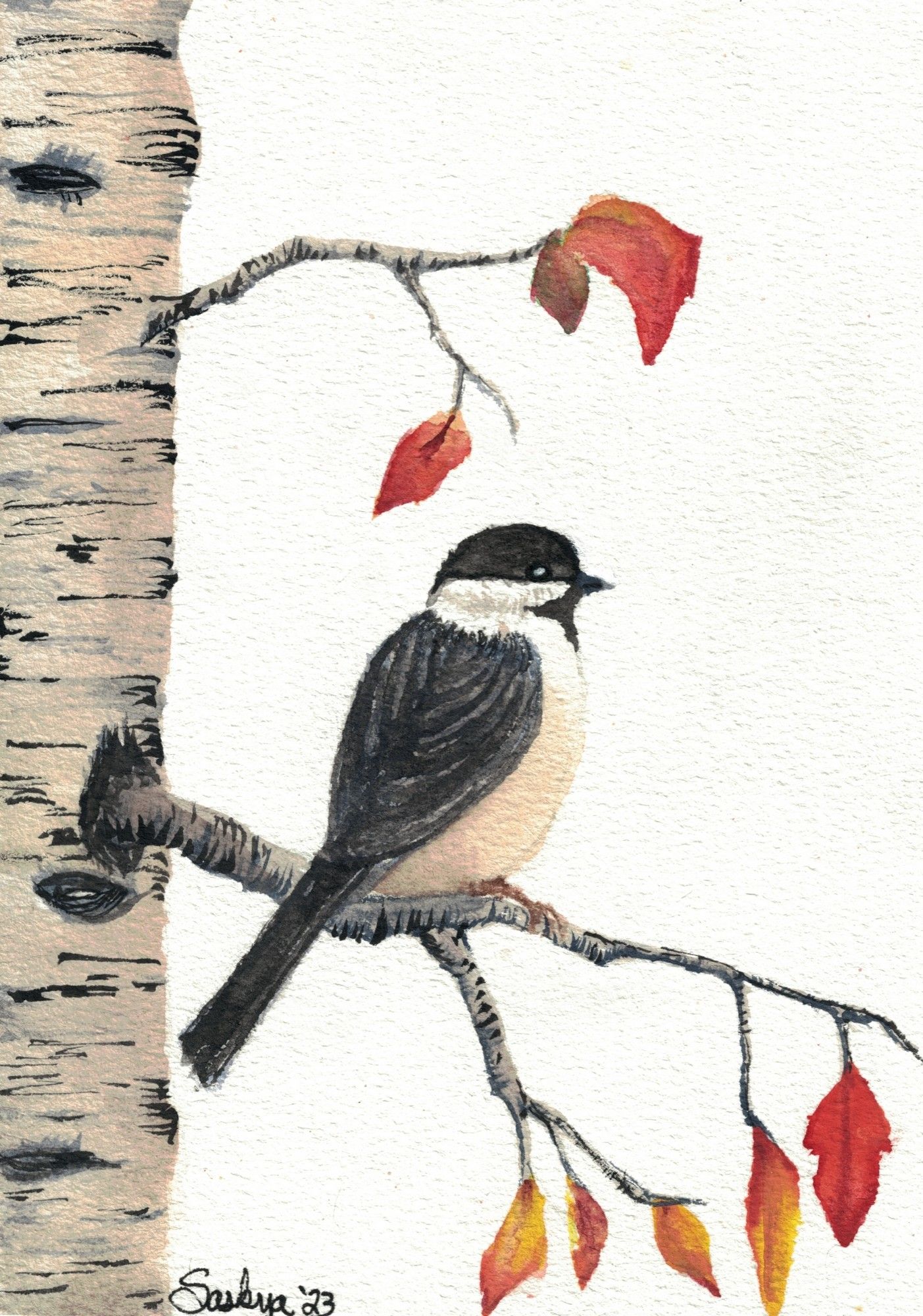 A watercolor painting of a chickadee sitting on an aspen tree. (I think?) It's back is mostly to us but you can see that his head is turned to the side. The tree has several orange and yellow leaves on it.