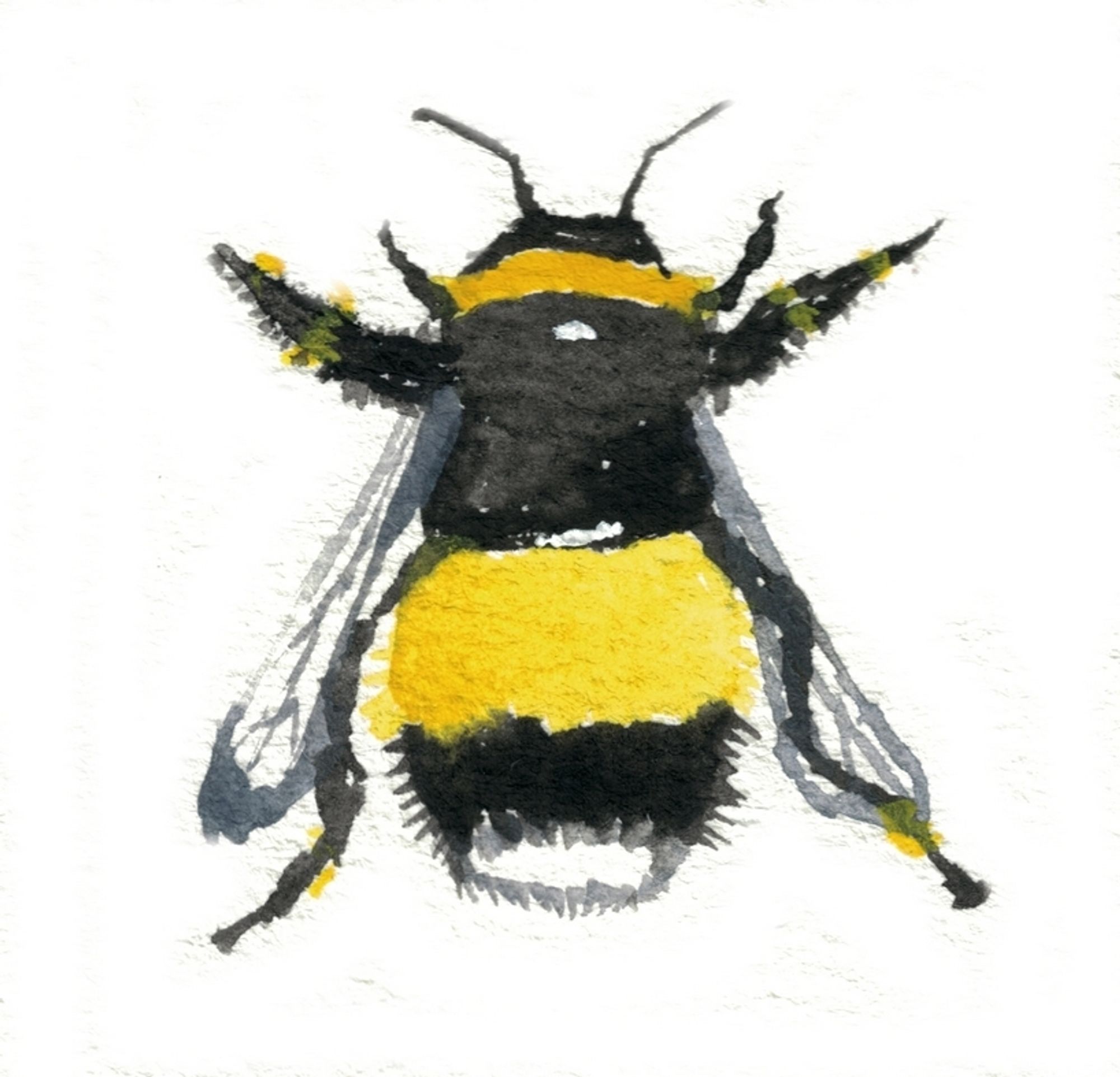 A watercolor speed painting of an itty bitty bee.