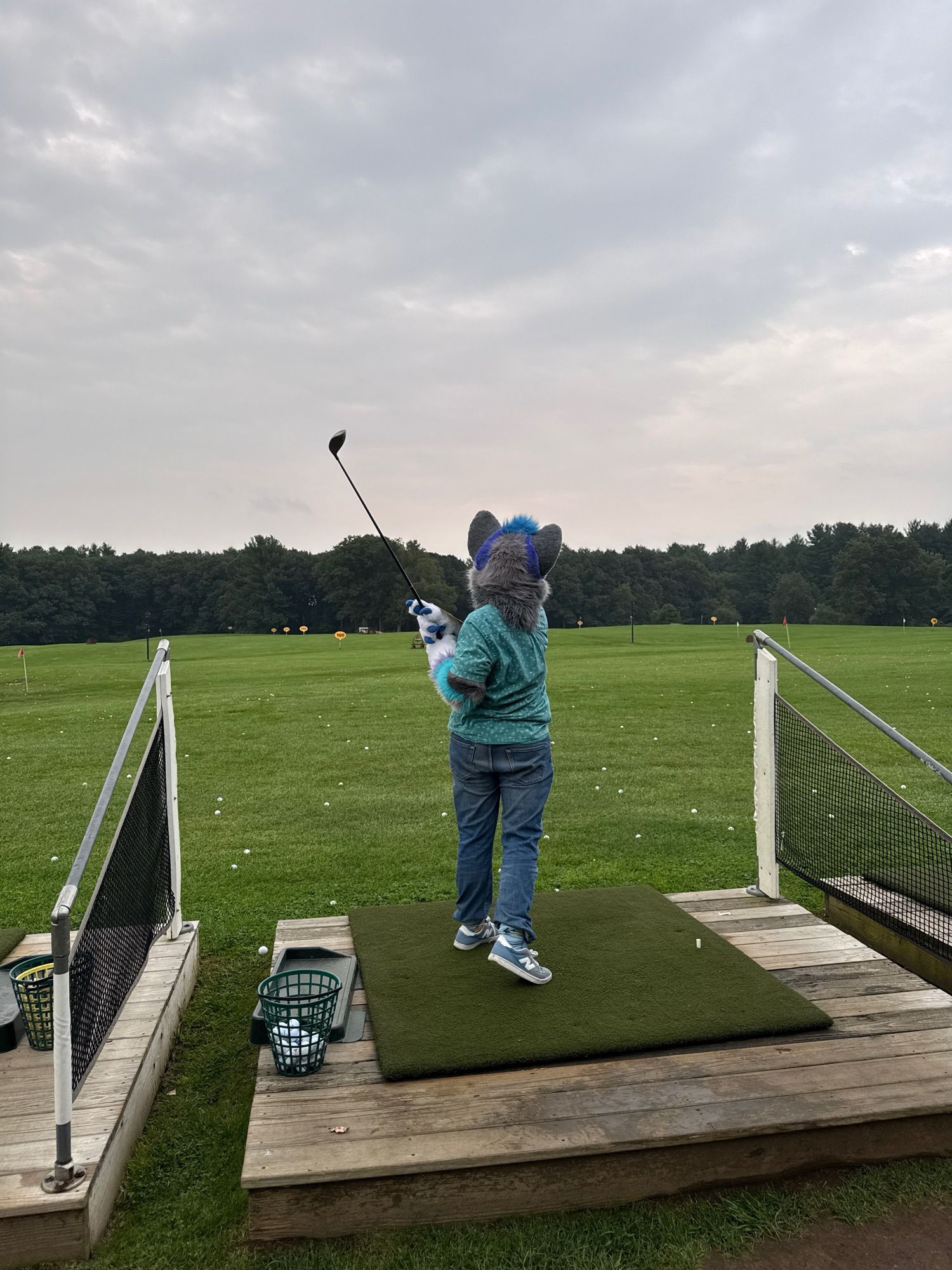 Coyote-gator swinging a golf club at a driving range