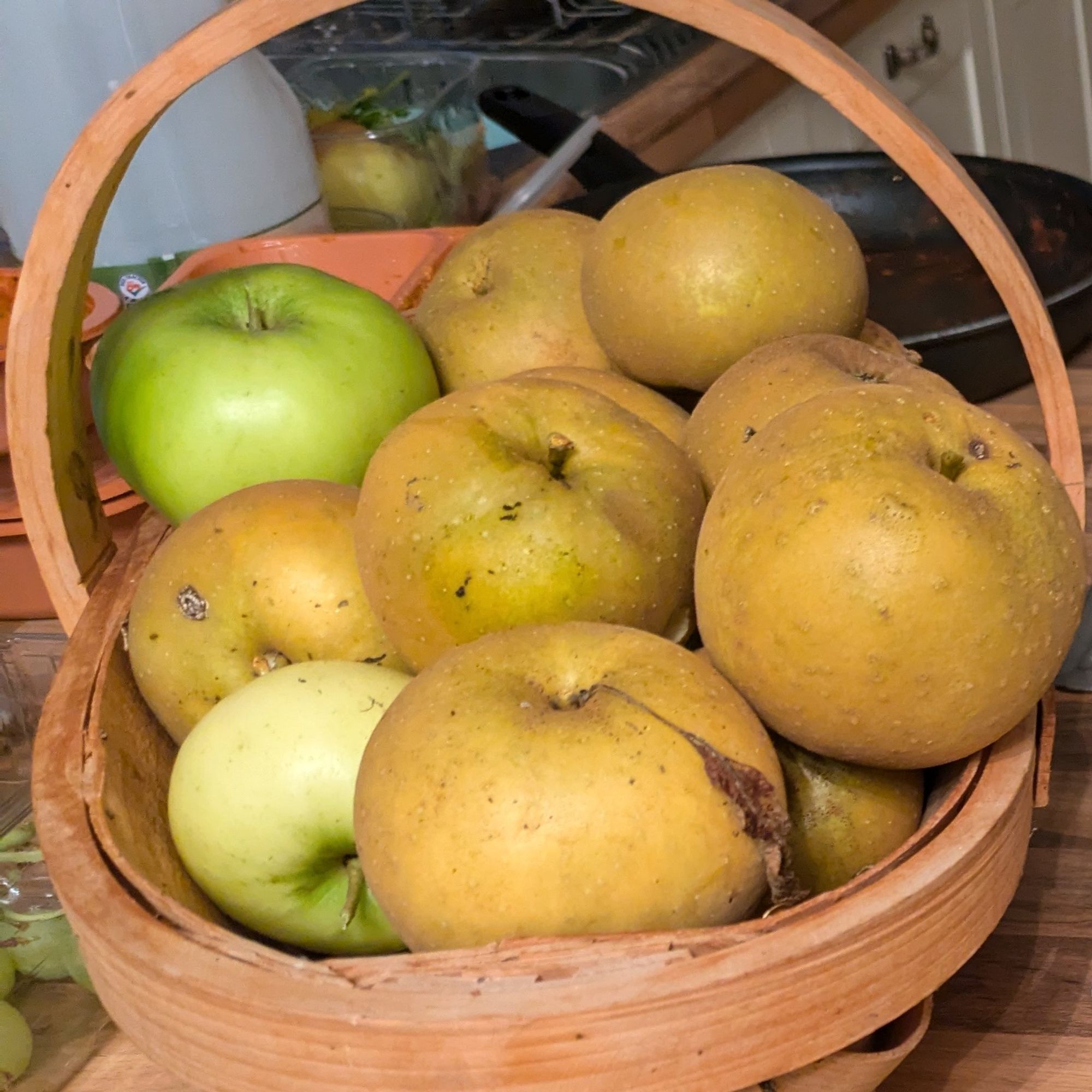 Egremont Russet apples