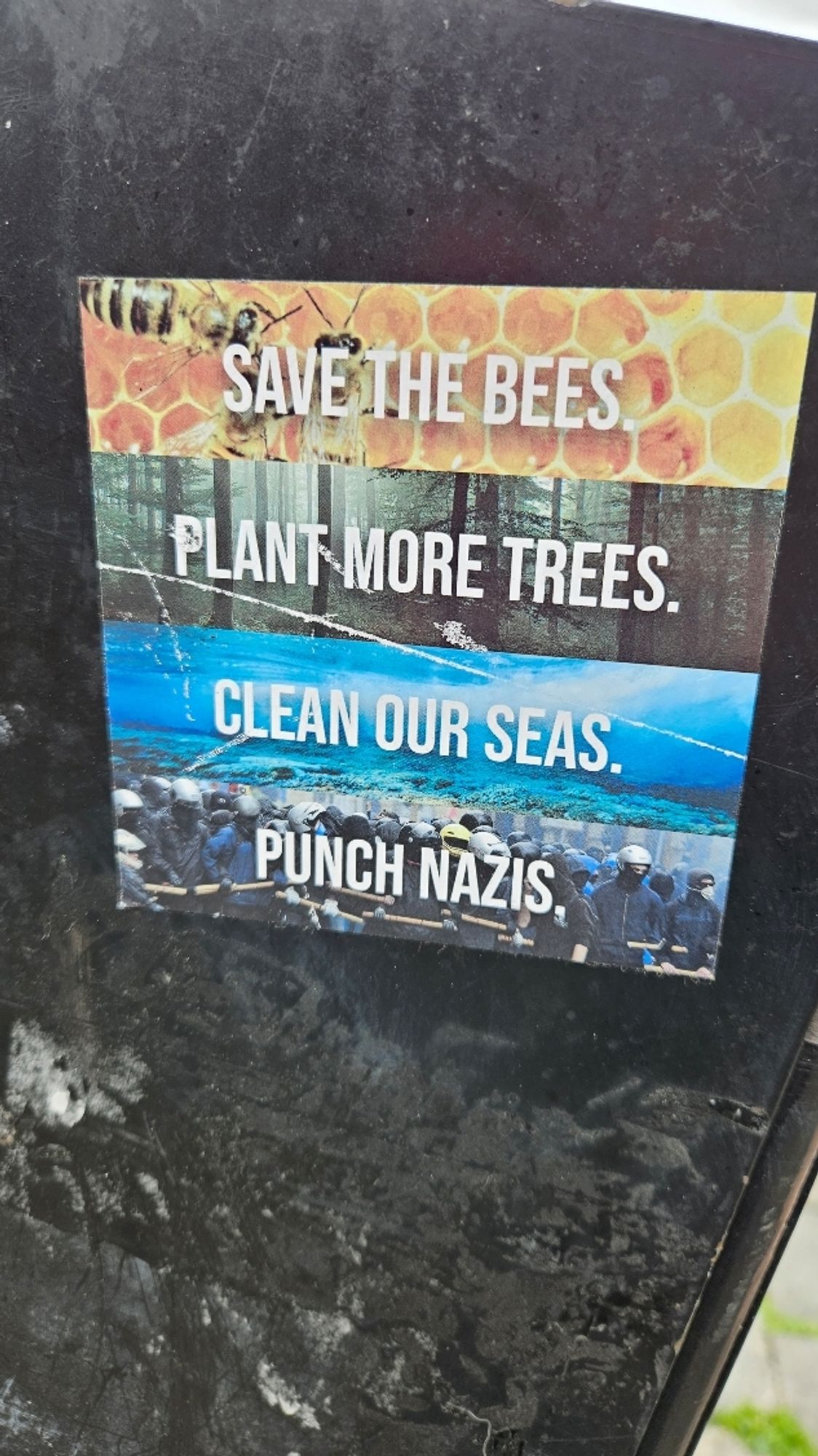 save our bees
plant more trees
clean our seas
PUNCH NAZIS