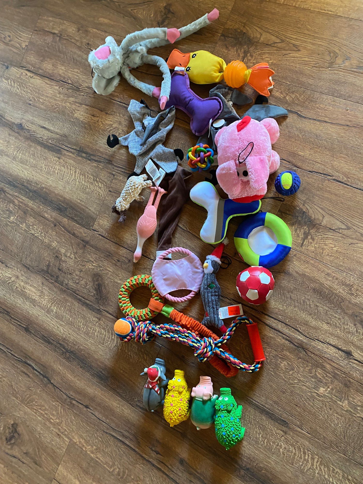 picture of a bunch of dog toys scattered across the floor. there’s a mix of pigs, balls, plushies and tug toys