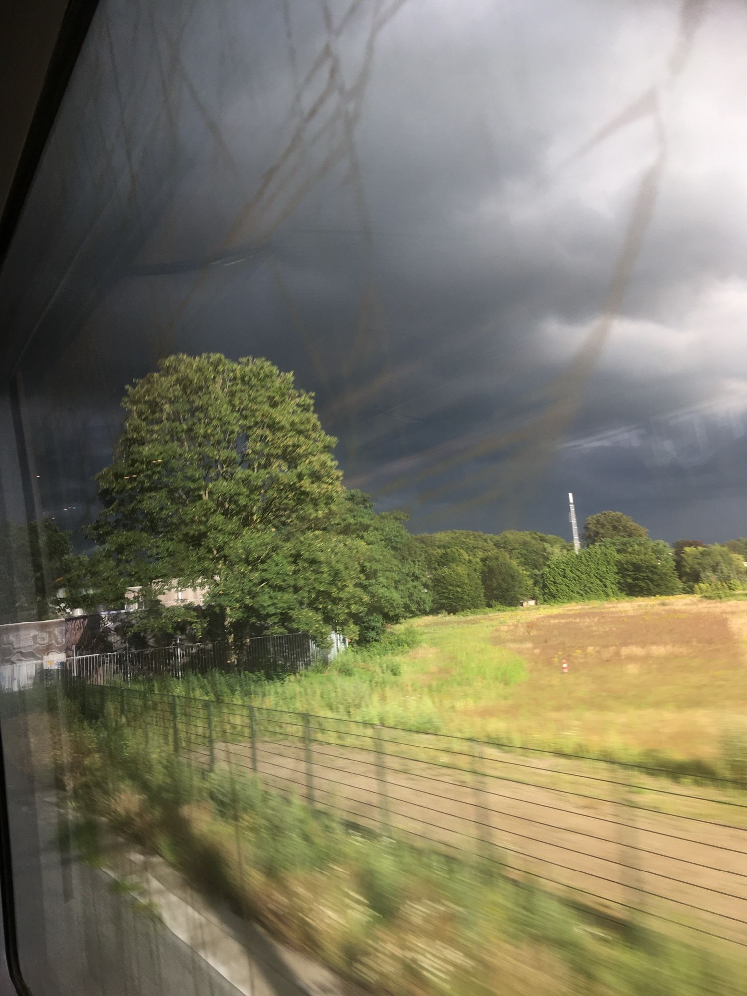 Aus dem Zugfenster heraus geht der Blick auf ein mit einem Zaun abgetrenntes Feld sowie auf grüne Büsche und Bäume an dessen vorderen Rand. Links hinter den Bäumen scheint sich ein helles Gebäude zu befinden. Noch ist ein kleiner Teil des Himmels hellgrau bewölkt, aber die dunkelgrauen Wolken überwiegen und überziehen drohend die vorausliegende Strecke. Durch die dunkle Wolkendecke wirken das Gelb und Grün der Umgebung intensiver.