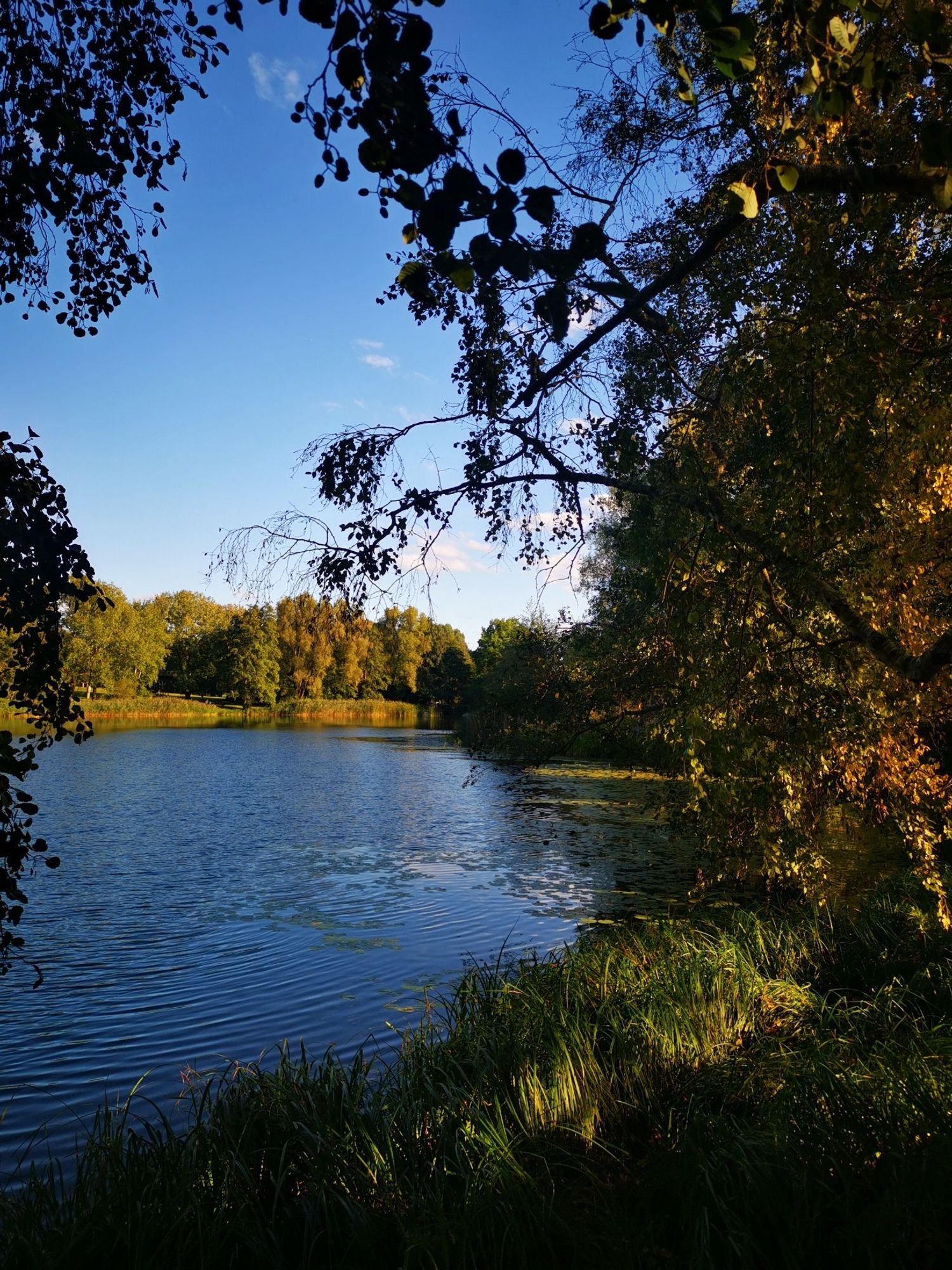 sattblauer See mit Wellen, drumherum Bäume in der Herbstsonne