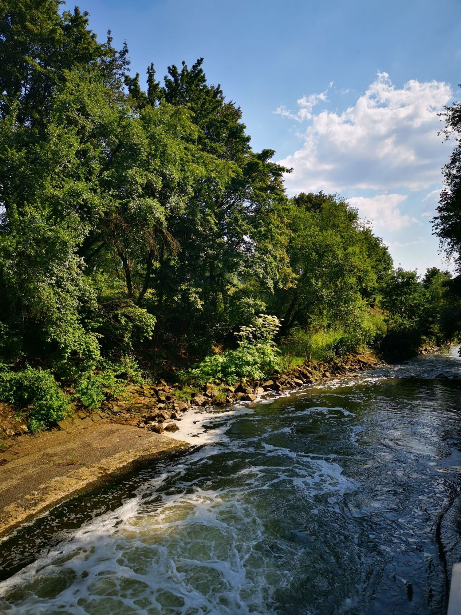 hier sieht die Emscher schon aus wie ein echter Fluss. frei und von Bäumen gesäumt