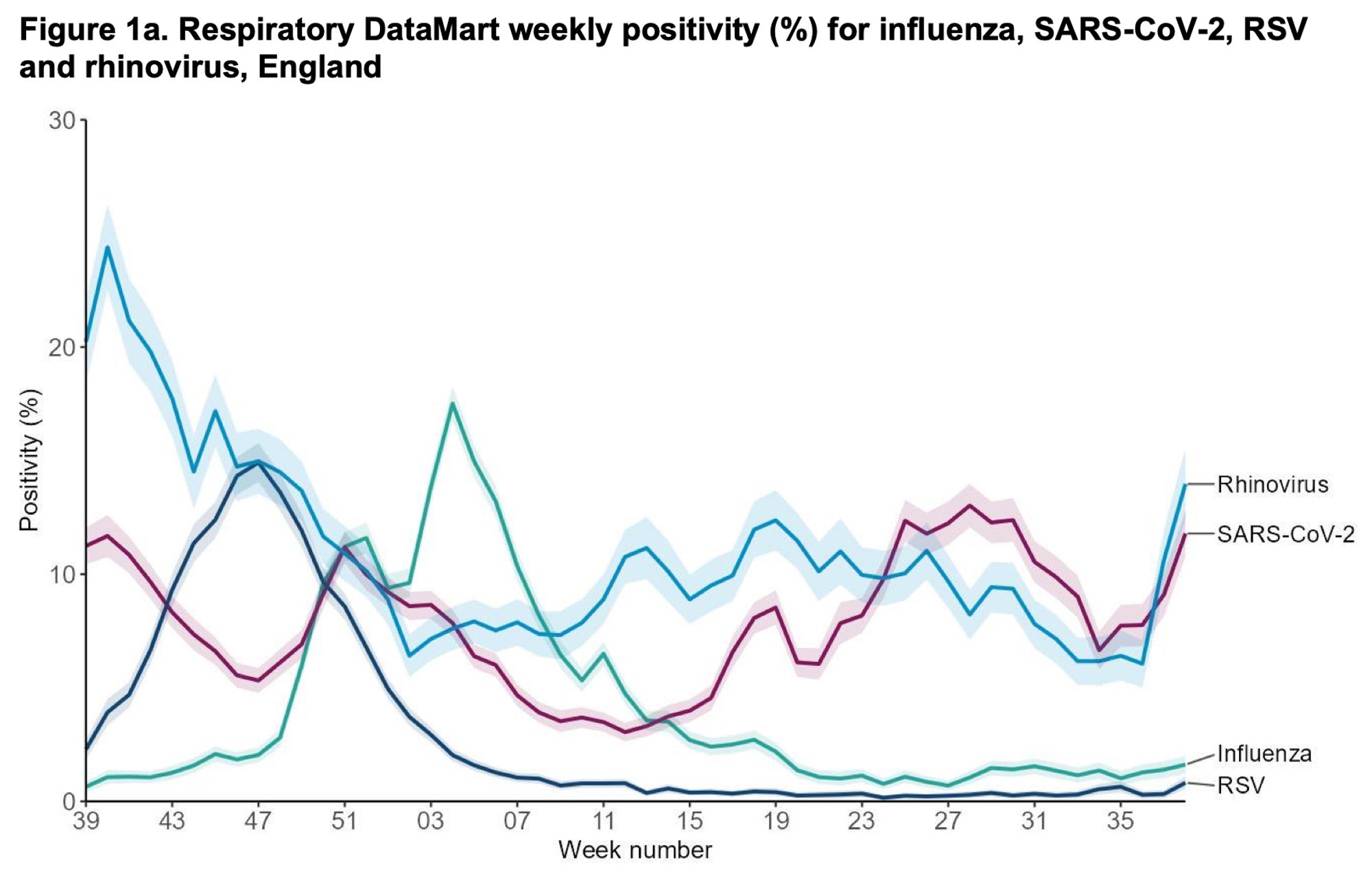 Figure of Respiratory DataMart weekly positivity (%) for influenza, SARS-CoV-2, RSV and rhinovirus in England. Covers week 39 2023 (approx September 2023) to week 38 2024 (ending 22 September 2024).