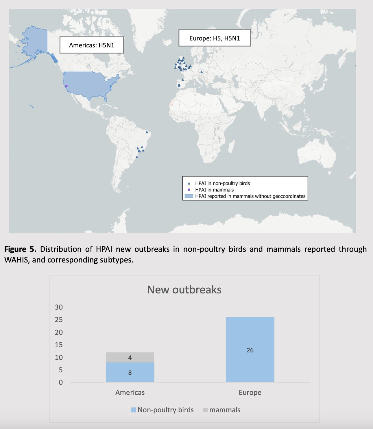 During July 2025, a total of 38 outbreaks in non-poultry birds and mammals were reported through WAHIS by 13 countries (Argentina, Brazil, Czech Republic, France, Hungary, Ireland, Norway, Portugal, Russia, Spain, the Netherlands, the United Kingdom, the United States of America).

This list corresponds to countries and territories that have notified cases in wild birds, mammals or domestic birds other than poultry. This explains why their numbers are different from those presented in the ‘HPAI key figures for the current seasonal wave and the two previous waves’ table, which does not cover domestic birds other than poultry.

The number of HPAI new outbreaks in non-poultry animals reported through WAHIS by geographical region during July 2025:

Americas: 12 (8 in non-poultry birds; 4 in mammals).

Europe: 26 (all in non-poultry birds).
