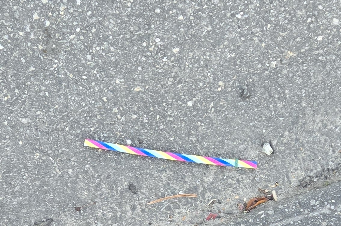 The tutti-fruti candy cane ass straw in question 