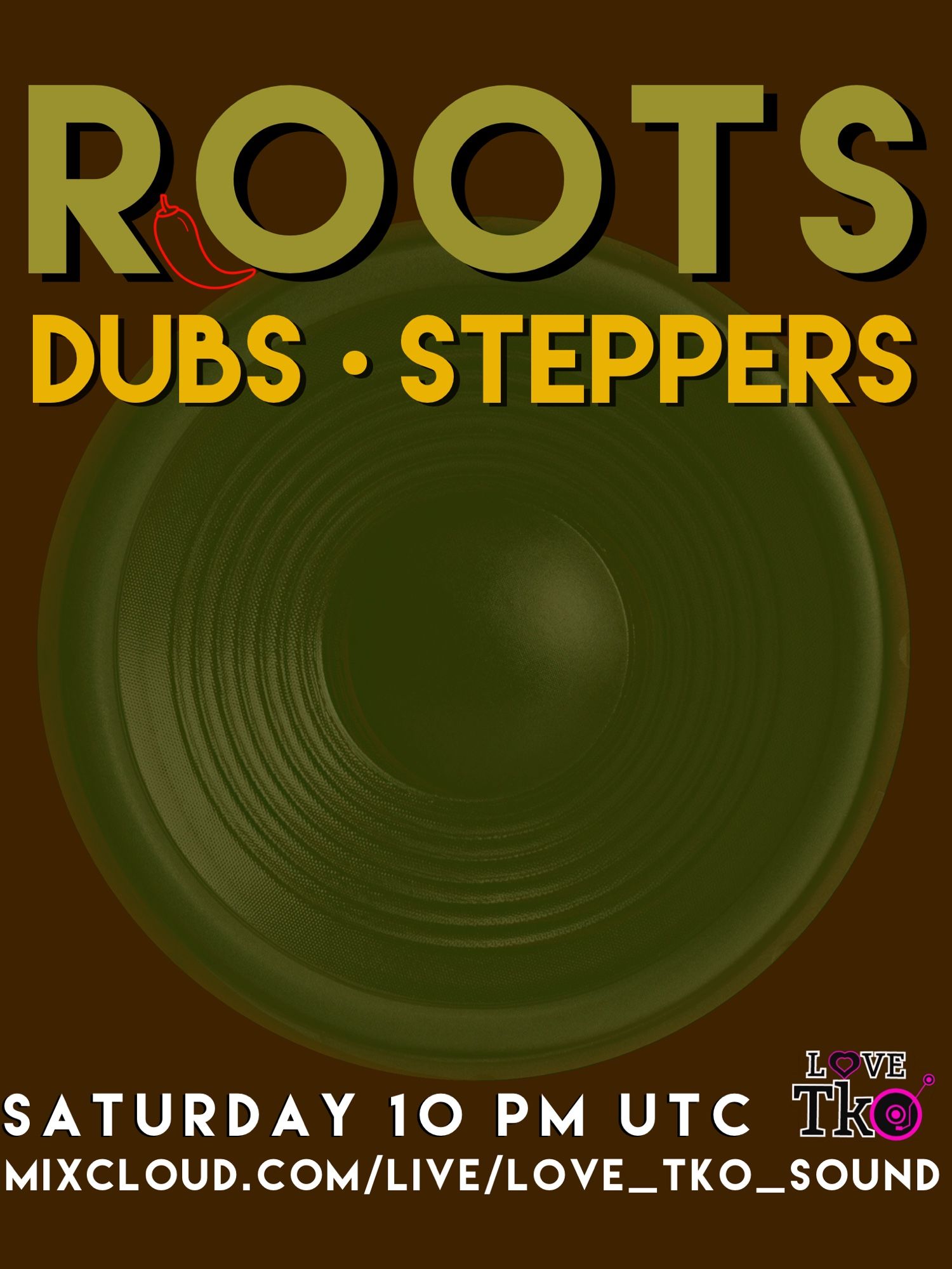 A big speaker representing Roots Dubs Steppers Reggae Session tonight.