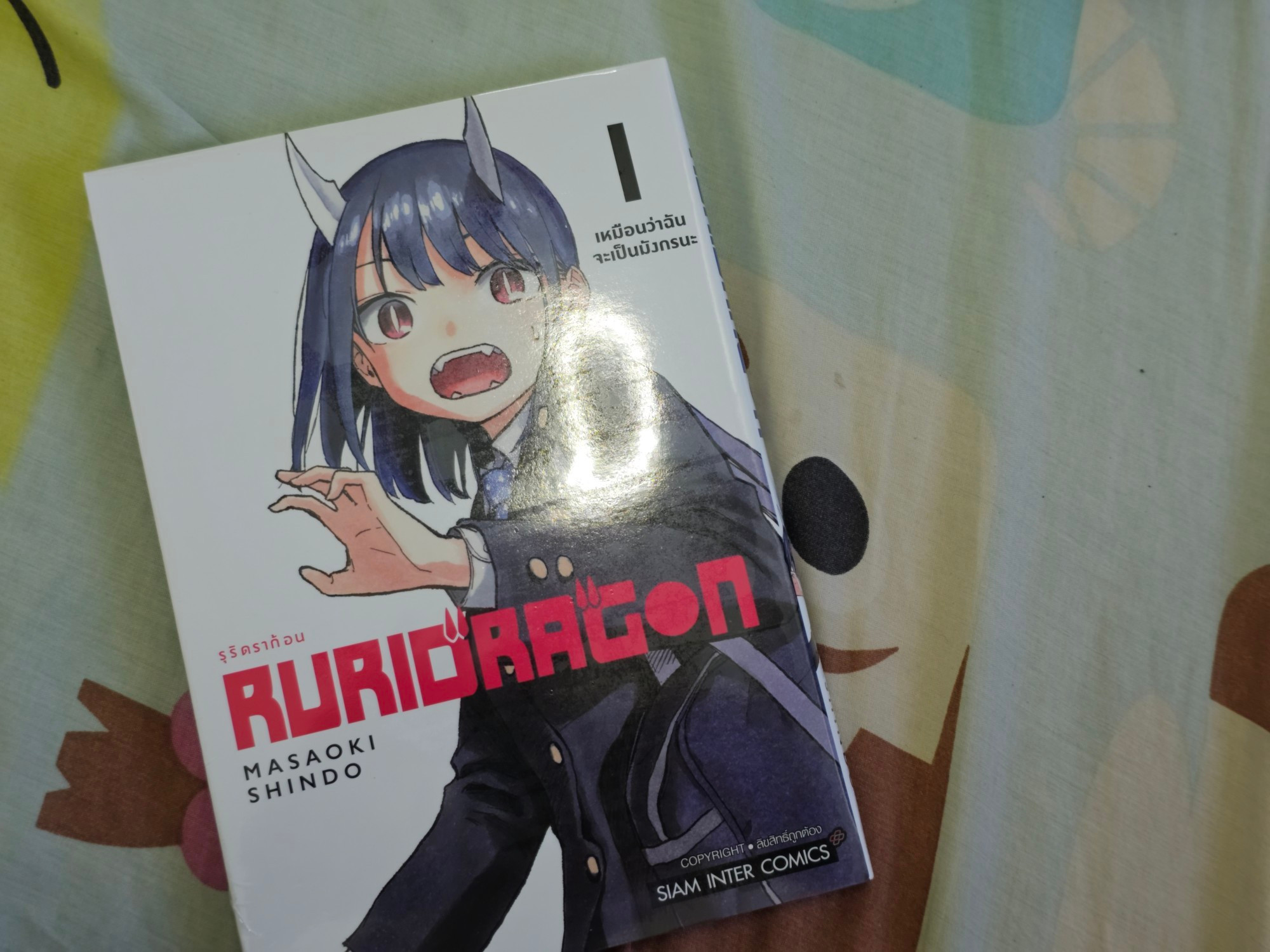 Ruridragon Manga