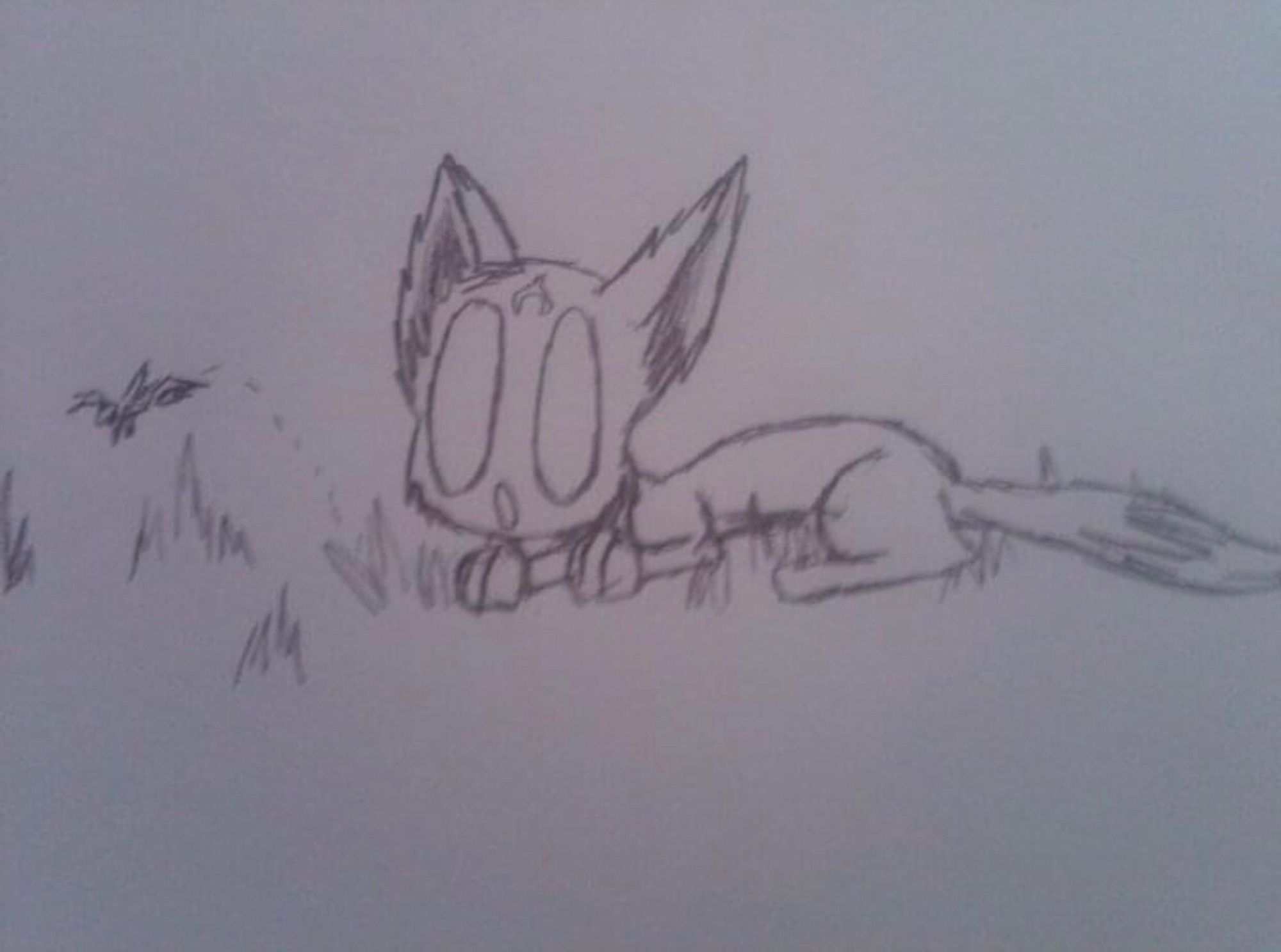 An old sketch. A large eyed cat lays in the grass as a grasshopper bounces away