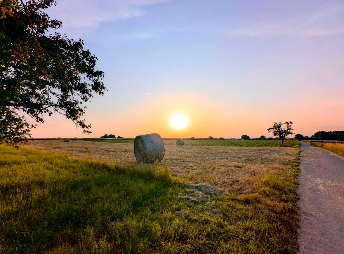 Sonnenaufgang über einer gemähten Wiese. Ein Heuballen liegt verloren unterhalb der Sonne, das Laub eines Baumes lehnt sich links noch ins Bild.