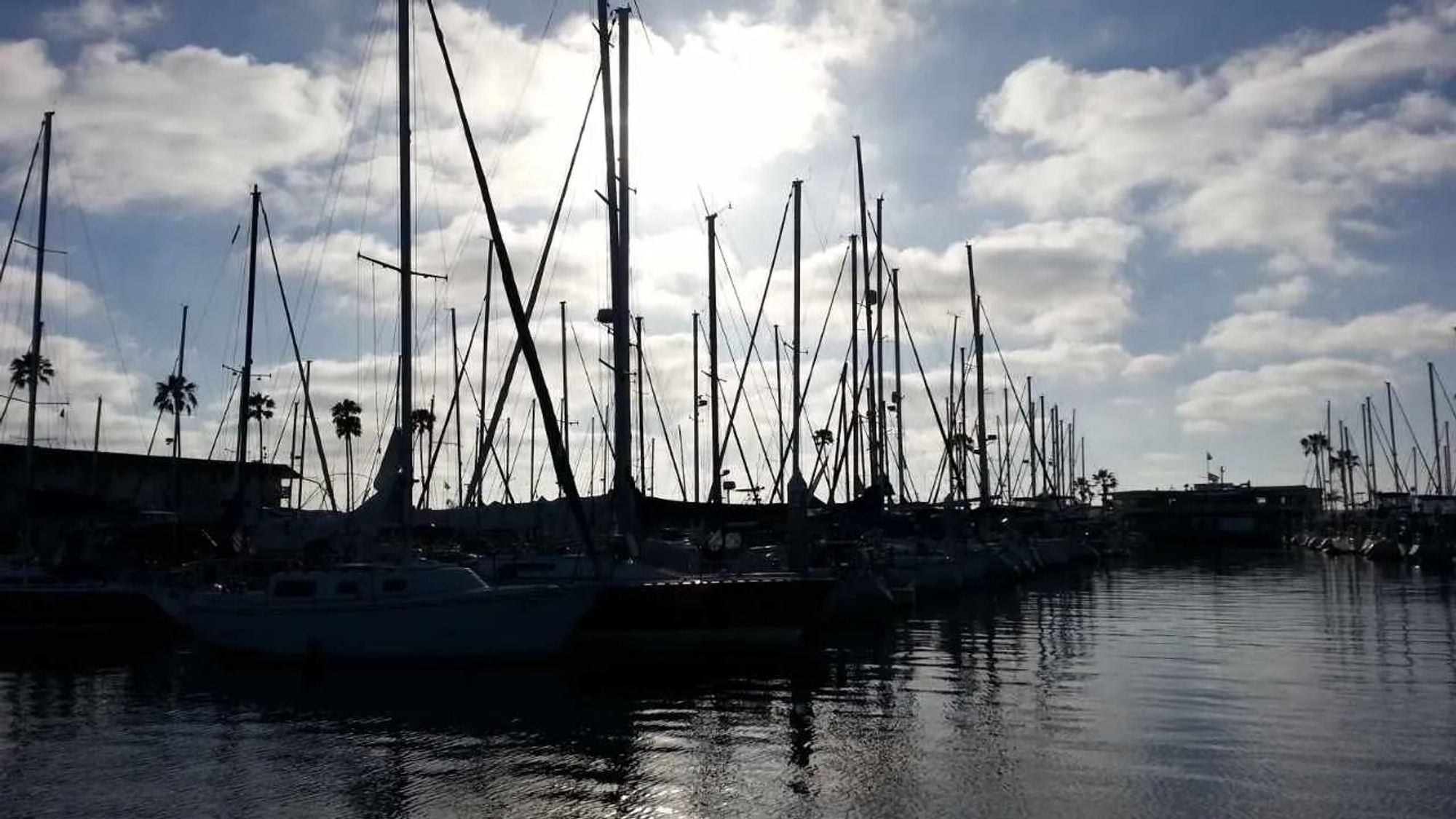 Sailboats docks in San Diego harbor.