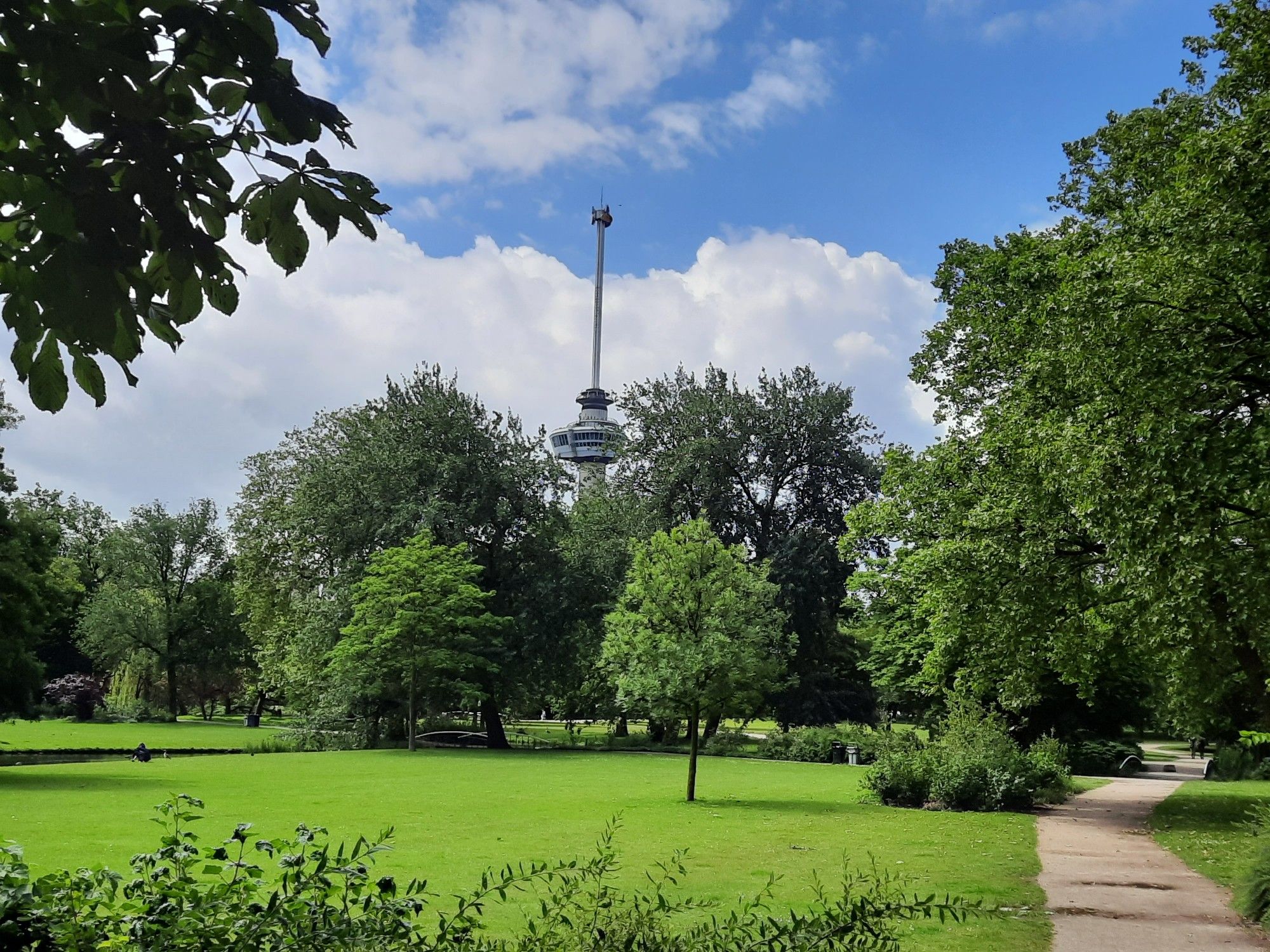 Het Park in Rotterdam, met Euromast op de achtergrond