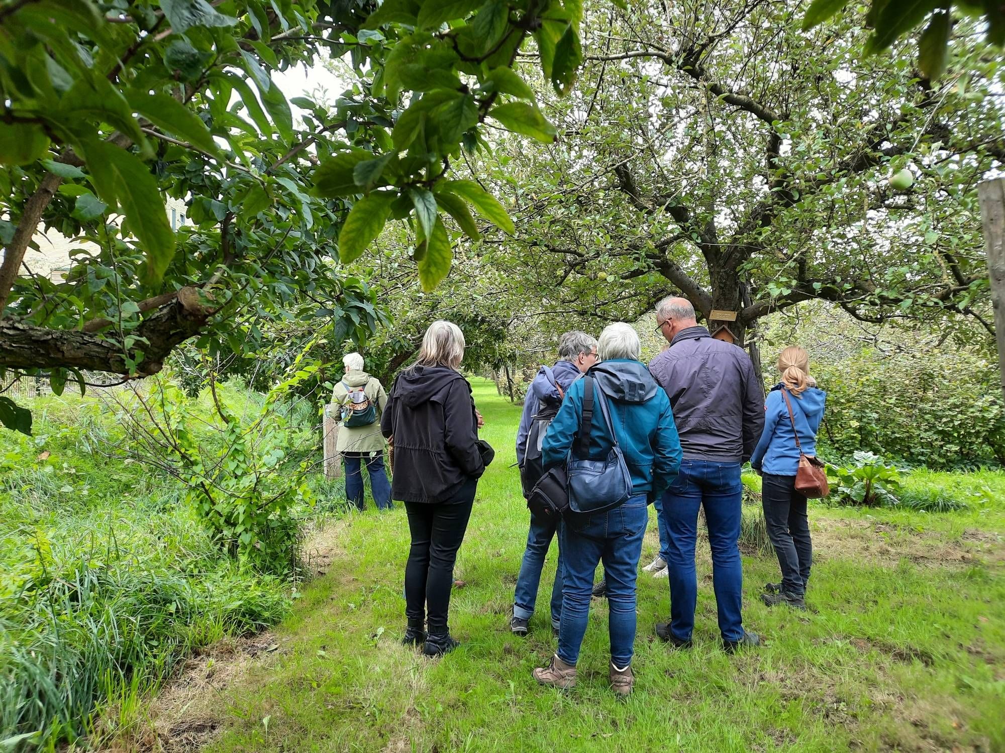 Groep bezoekers in boomgaard