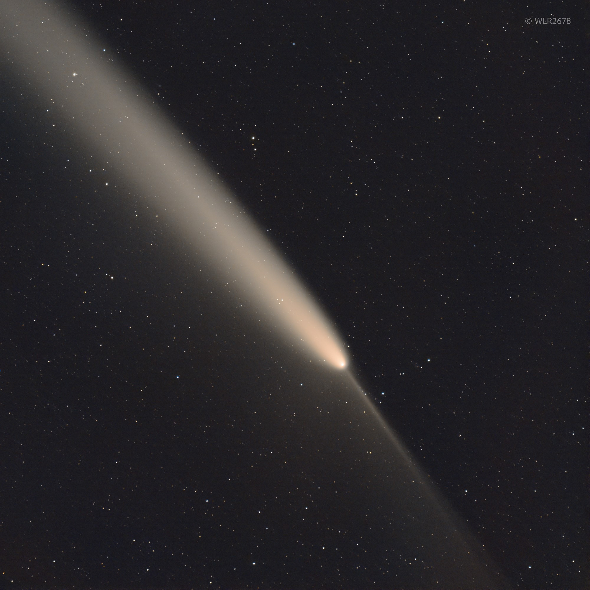 A closeup view of Comet C/2023 A3 (Tsuchinshan-ATLAS). The main dust tail extends to the image's upper left corner, and the fanning "anti-tail" stretches toward the bottom right corner. The bottom left side of the comet appears dustier than the top right side.