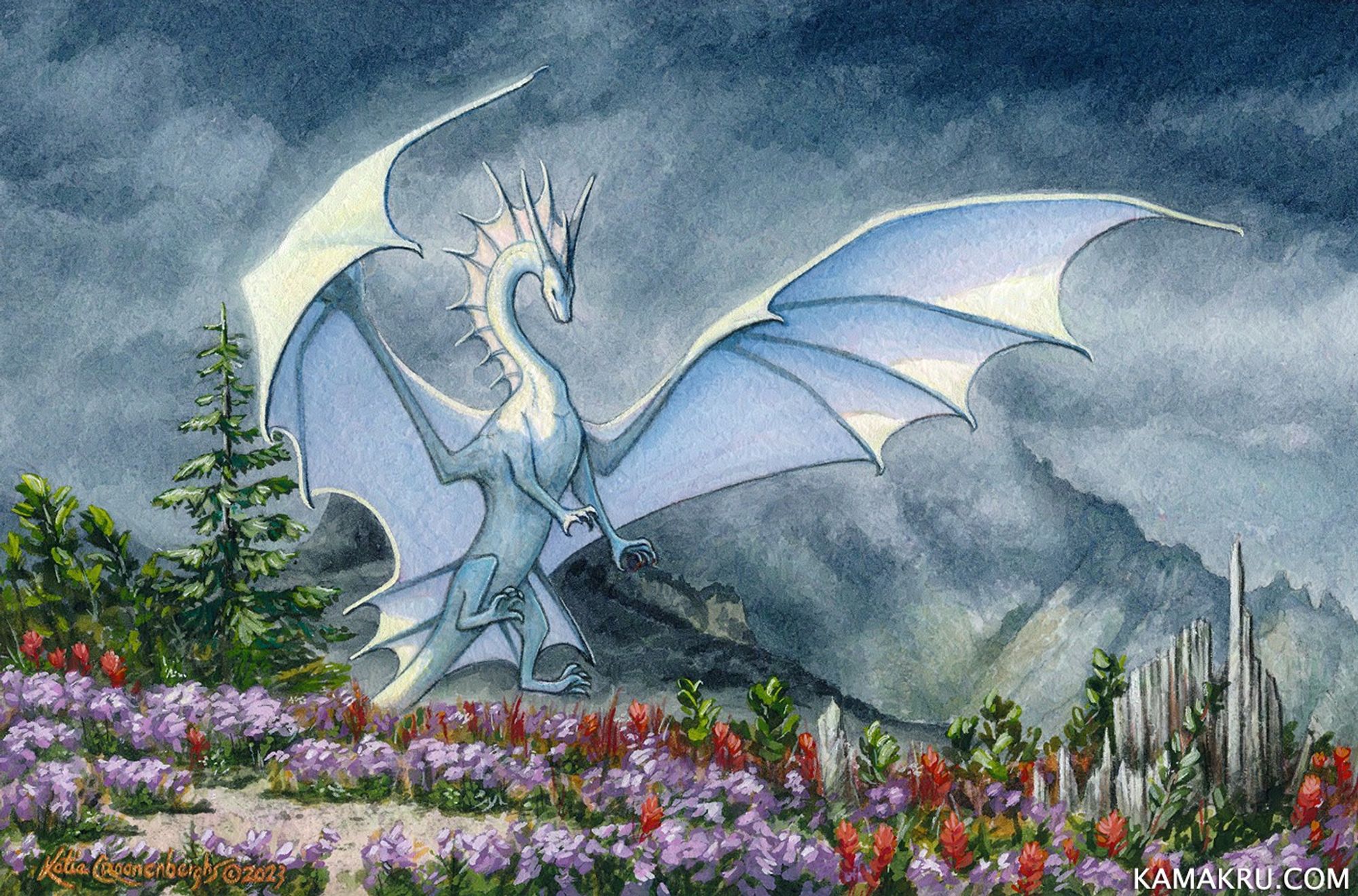 Watercolor and gouache painting of a white dragon with wings spread as it prepares to land on a hilltop of red and purple flowers. The sky in the distance is dark with rain, the mountains hidden in the mist. The hilltop is still bathed in sunlight, and the dragon is lit from behind as it lands. The area is inspired by the North facing view from the Johnston Ridge Observatory near Mount St. Helens.