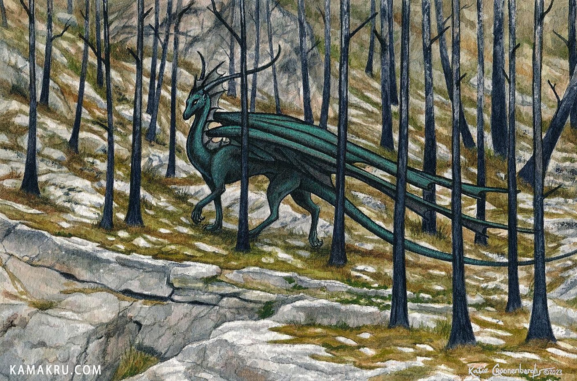 watercolor and gouache painting of a black dragon with green sheen walking between trees burned from a forest fire, the ground is covered in moss and white stones. text reads kamakru.com