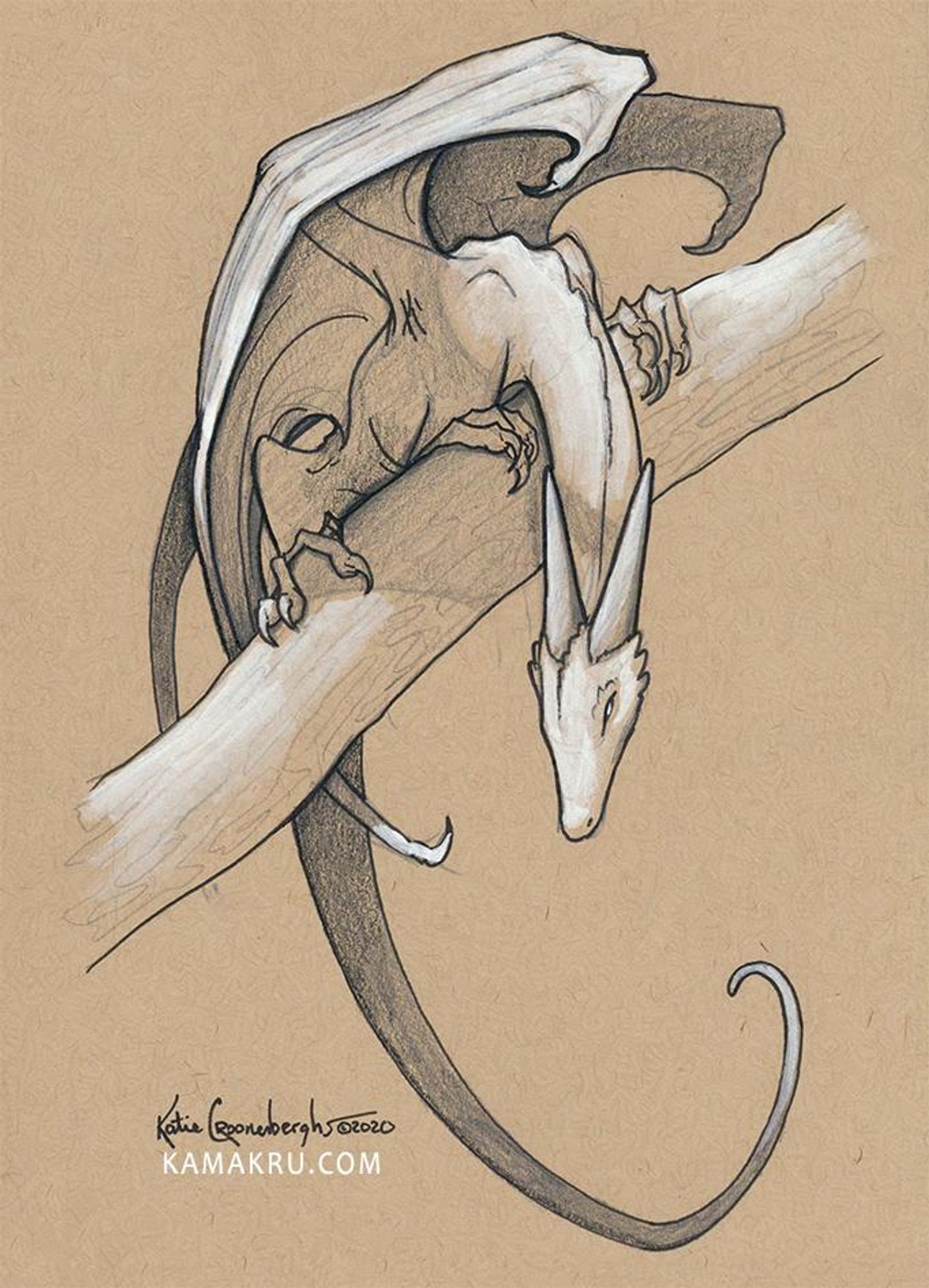 Sketch of a dragon perched on a branch looking down. Its tail curves below it. Sketched with graphite, ink, black and white colored pencil on toned tan paper. Artist signature reads Katie Croonenberghs 2020 and website kamakru.com