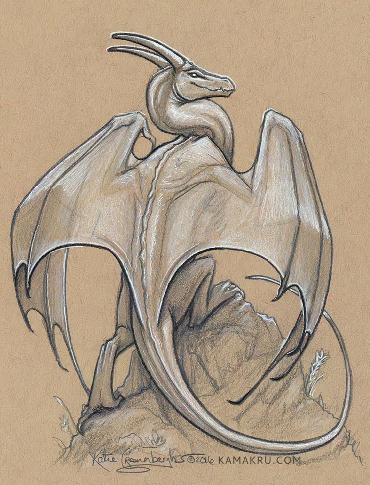 Sketch of a dragon on toned tan paper. Sketched using graphite pencil, colored black and white pencil. Artist signature says Katie Croonenberghs 2016 and text kamakru.com