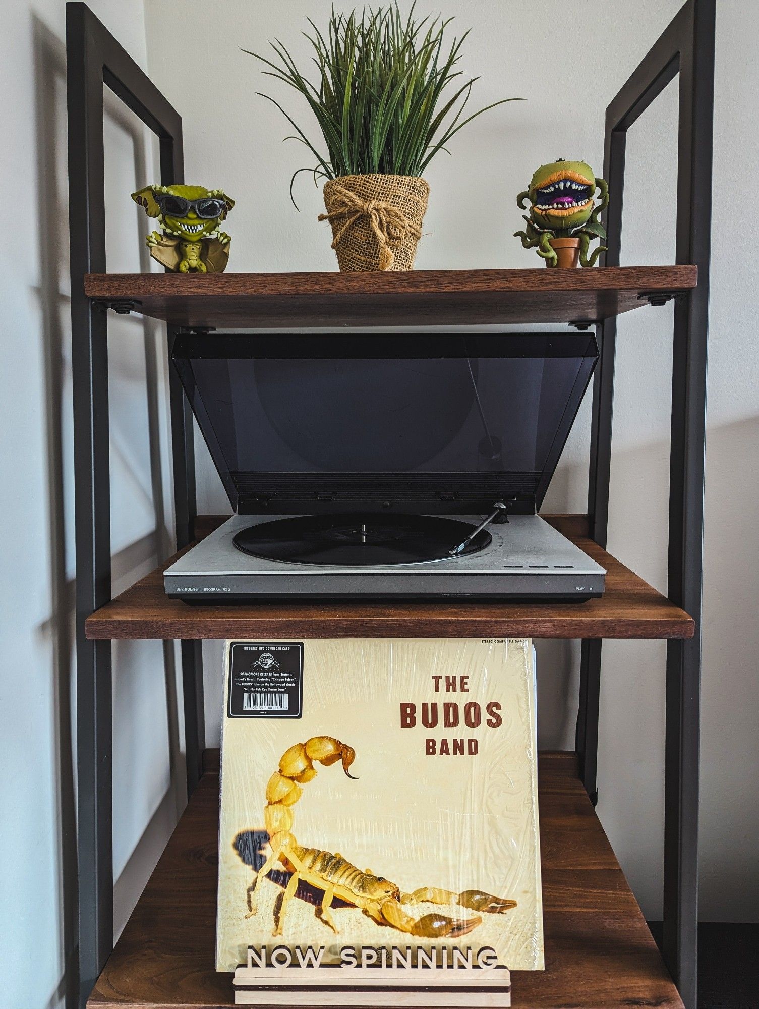 Now Spinning The Budos Band - The Budos Band II vinyl album