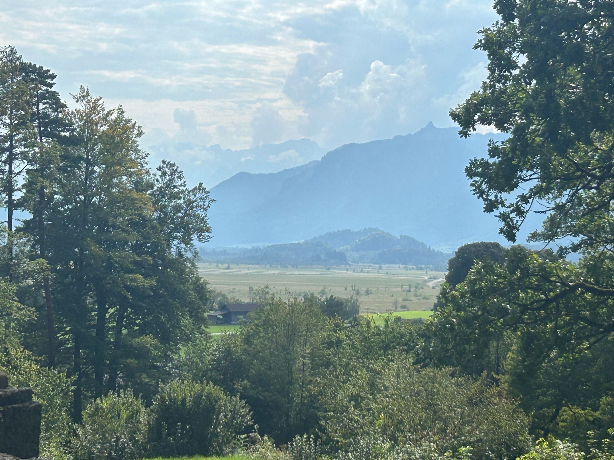 Blick auf die Alpen und das Murnauer Moos