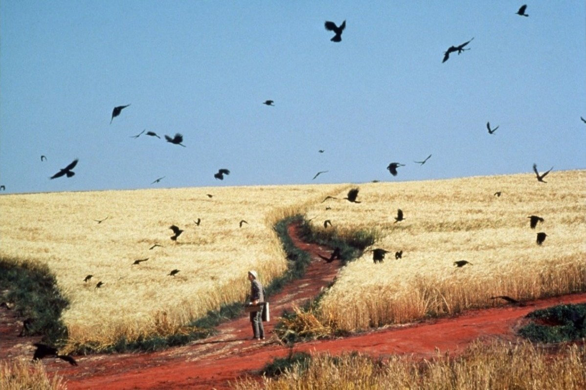 A live recreation of Van Gogh's Crows painting