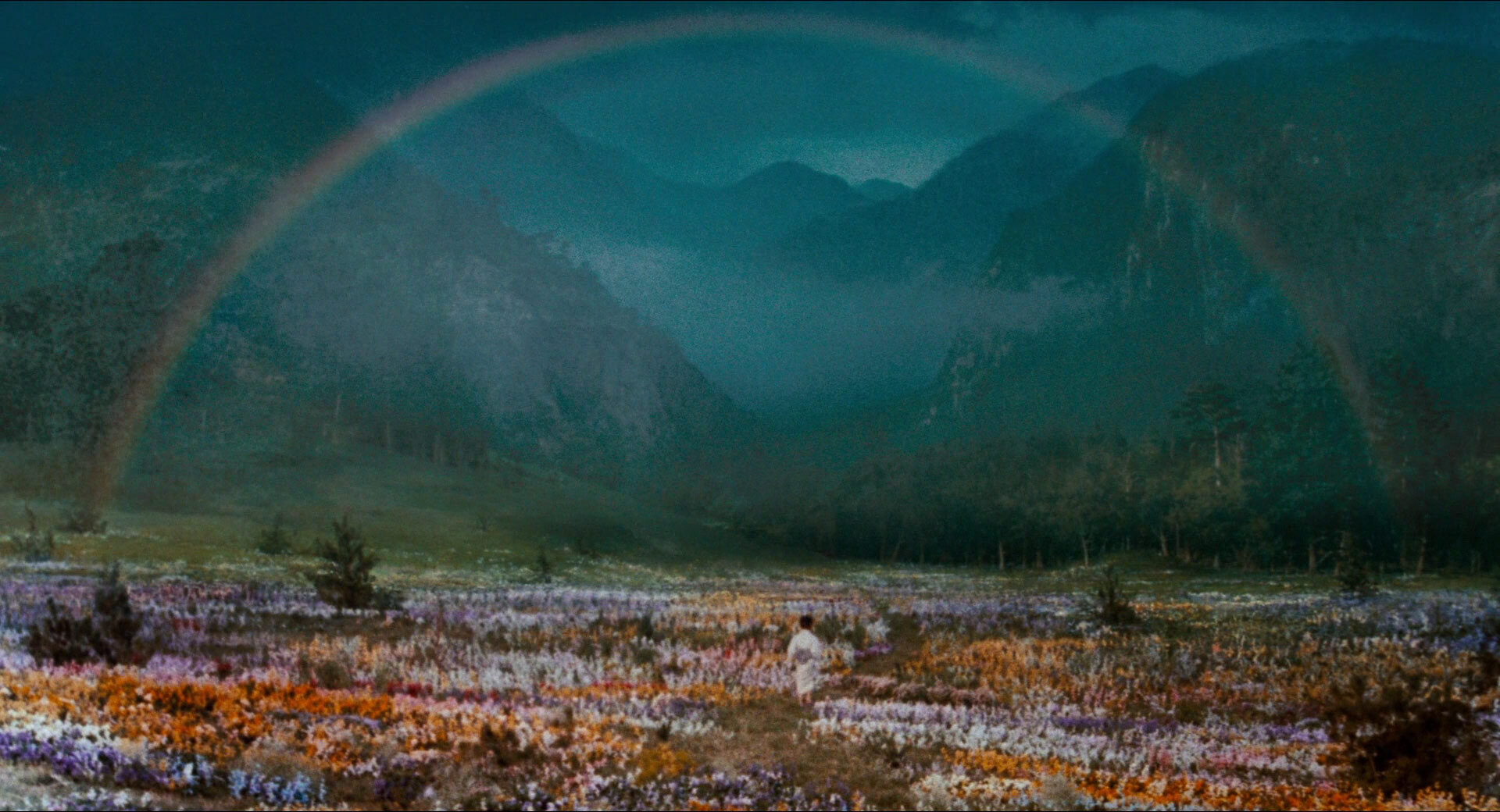 A child walking towards a rainbow through a field of colourful flowers