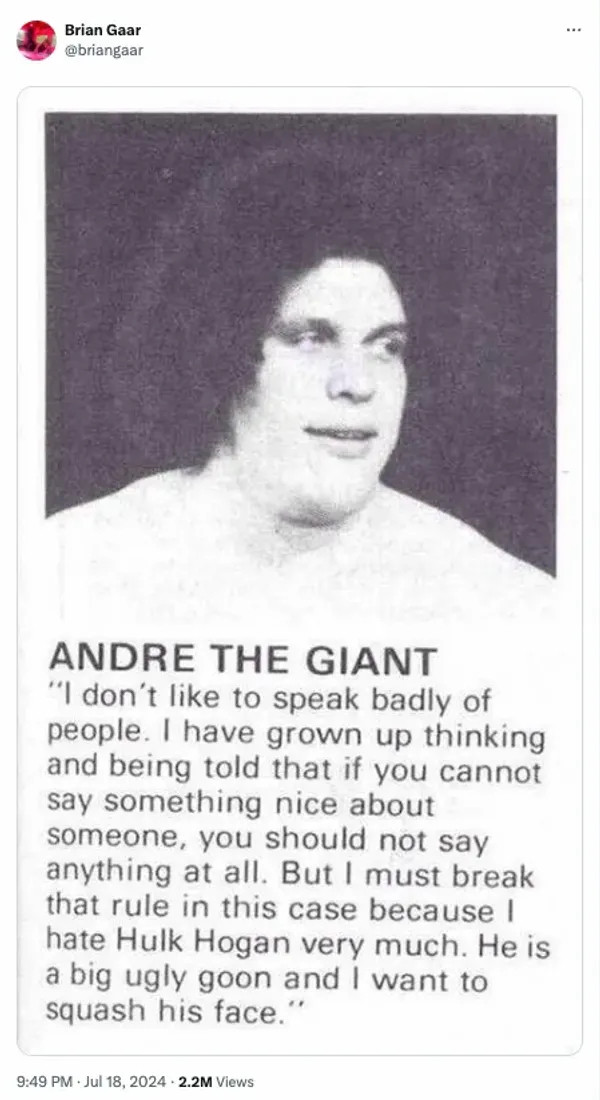 I don't like to speak badly of people. I have grown up thinking and being told that if you cannot say something nice about someone, you should not say anything at all. But I must break that rule in this case because I hate Hulk Hogan very much. He is a big ugly goon and I want to squash his face.

-Andre the Giant