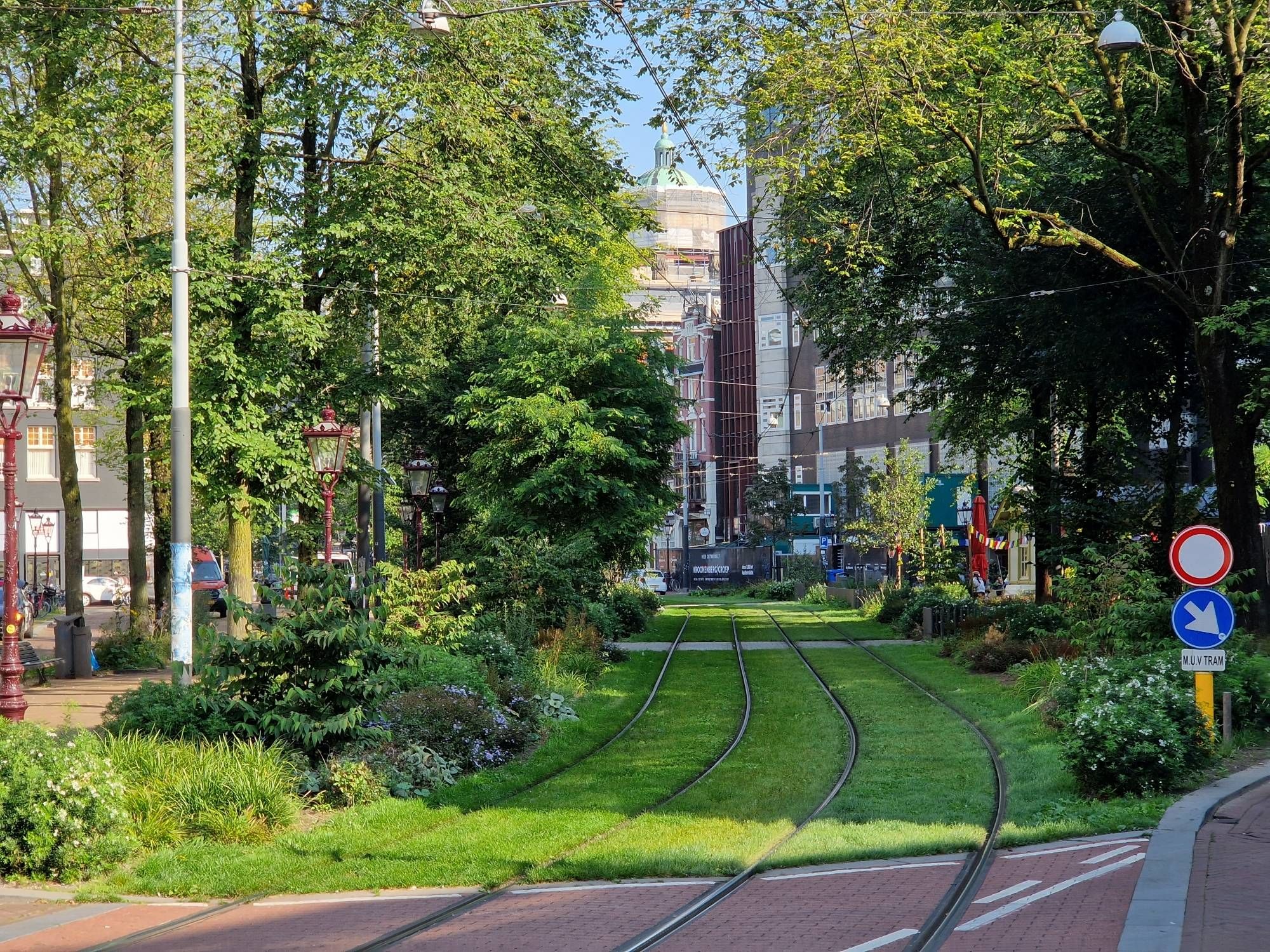 Tram tracks go into a green area with grass and trees, surrounded by the cityscape