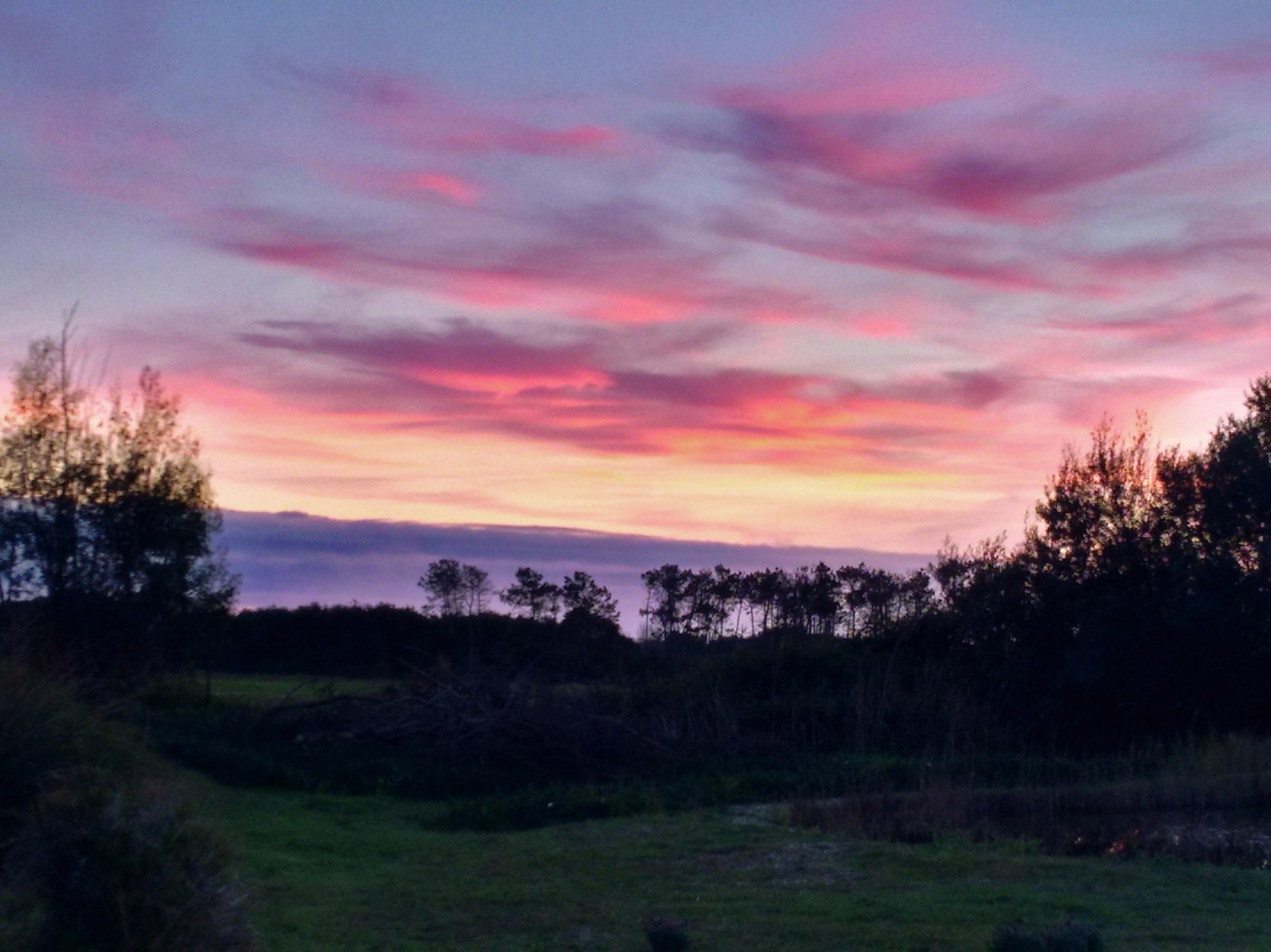 Landschaft bei Sonnenuntergang. Der Himmel ist rosa und blau gefärbt. Am Horizont sind die Silhouetten von Bäumen zu erkennen, und im Vordergrund sieht man eine Wiese.