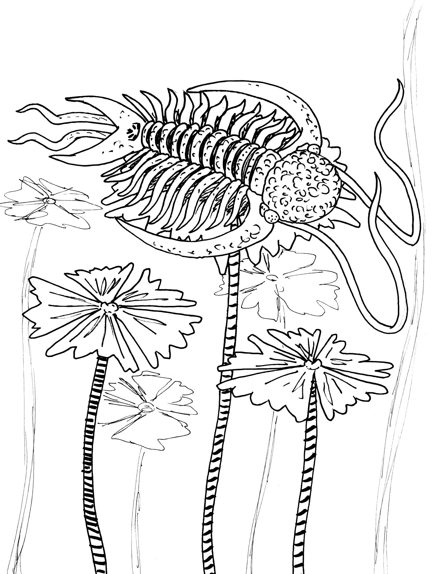 Restoration of the phacopid trilobite, Deiphon barrandei, resting on the sea lily, Petalocrinus bifidus.  From Silurian England.