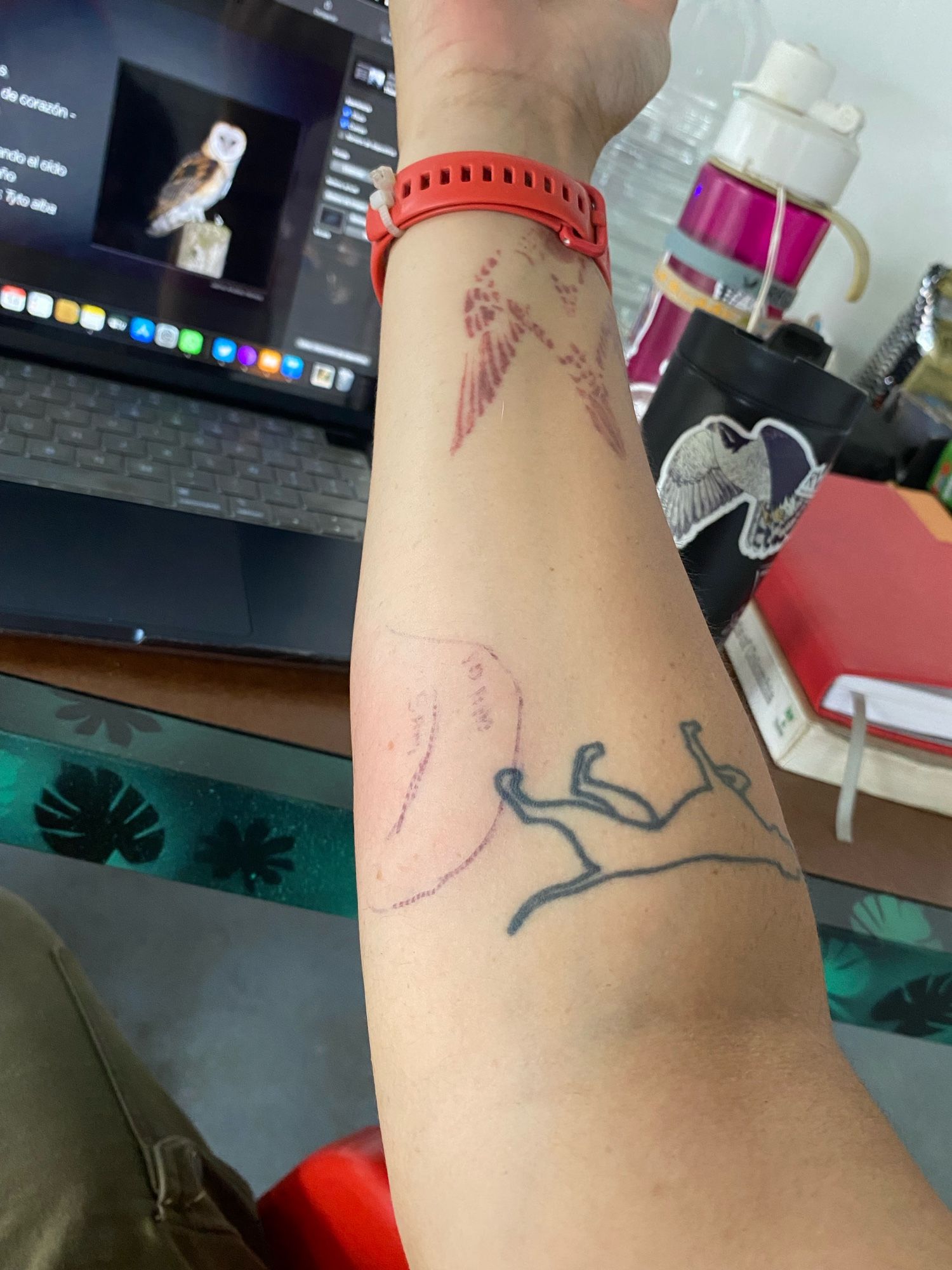 Photo of my right forearm showing my two tattoos (a stooping falcon and an English pointer) and the wasp sting with black pen lines marking the progression of the inflammation