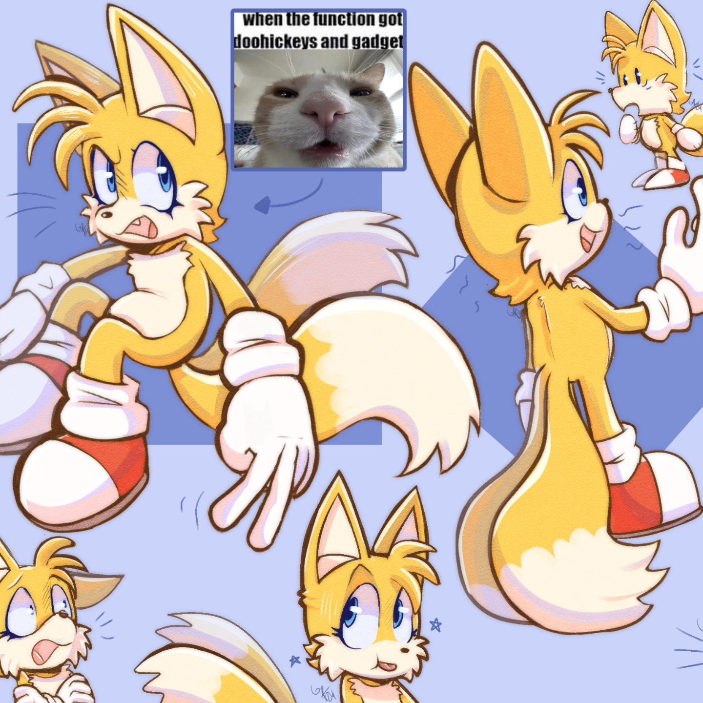 A bunch of silly doodles of Miles "Tails" Prower, the fox with two tails from the Sonic the Hedgehog franchise. He can be seen with various facial expressions. There is also an image of a cat staring straight at the camera with the caption "when the function got doohickeys and gadget". 