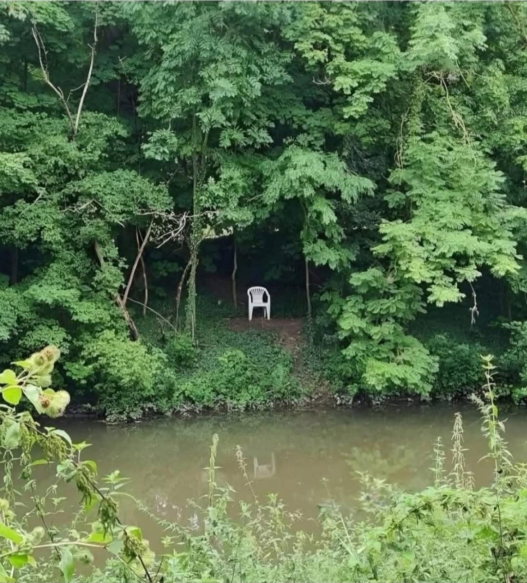 A cheap plastic patio chair in the woods overlooking a small pond 