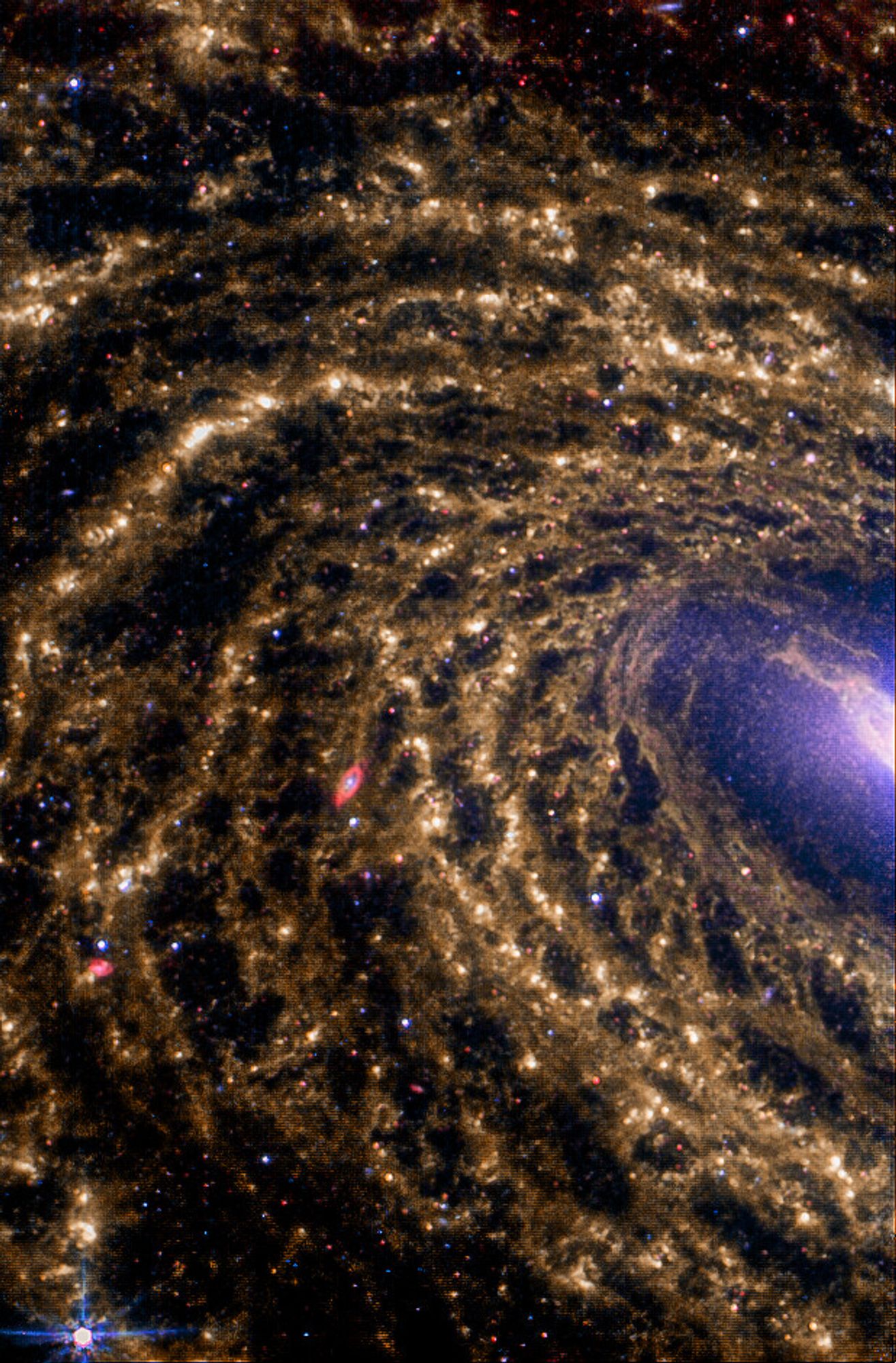 A vibrant, colorized image of the spiral galaxy NGC 6384, captured by the Mid-Infrared Instrument (MIRI) on the James Webb Space Telescope. The galaxy's intricate spiral arms are highlighted in hues of gold and red, with dark interstellar dust lanes creating contrasting streaks. A bright, blue-white center dominates the image, indicating the presence of a massive black hole or cluster of stars. The surrounding space is filled with countless stars, creating a dazzling backdrop of twinkling lights.