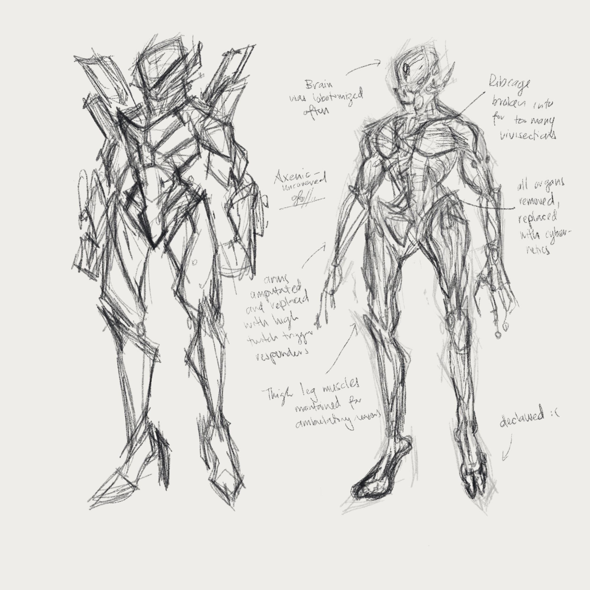 rough sketches of my biomechanical character Axenic, the first sketch is of them in their armoured state, and the 2nd is of their previously mutilated state.
NOTE TRANSCRIPT:
(pointing to Axenic's head) "Brain was lobotomized often" 
(pointing to the centre of Axenic's chest. The pectoral puscles muscles are split apart but sinew and tendons cling between them) "Ribcage broken into for too many vivisections."
(pointing to Axenic's abdomen.) "all organs removed, replaced with cybernetics" [additional notes: Axenic descended from a bioweapon strain that utilises hyperactive parthogenesis to produce many malformed genetic clones, that can be weaponised and used offensively and defensively. The organisation that captured Axenic intially attempted to only sterilise Axenic, but found their regenerative abilities regrew the reproductive system. The only way to stop Axenic from being dangerous was to remove all of their organic organs to stunt metabolism and healing]
(pointing to Axenic's forearms) "arms amputated and replaced with high twitch trigger responders"
(pointing at Axenic's thighs) "Thigh leg muscles maintained for ambulatory reasons" [NB: also contains residual bone marrow to upkeep blood production. Otherwise Axenic is dependant of synthesised fuel and electricity as they lack the systems to convert most consumed goods into energy] 
(pointing at Axenic's feet) "declawed :(" 