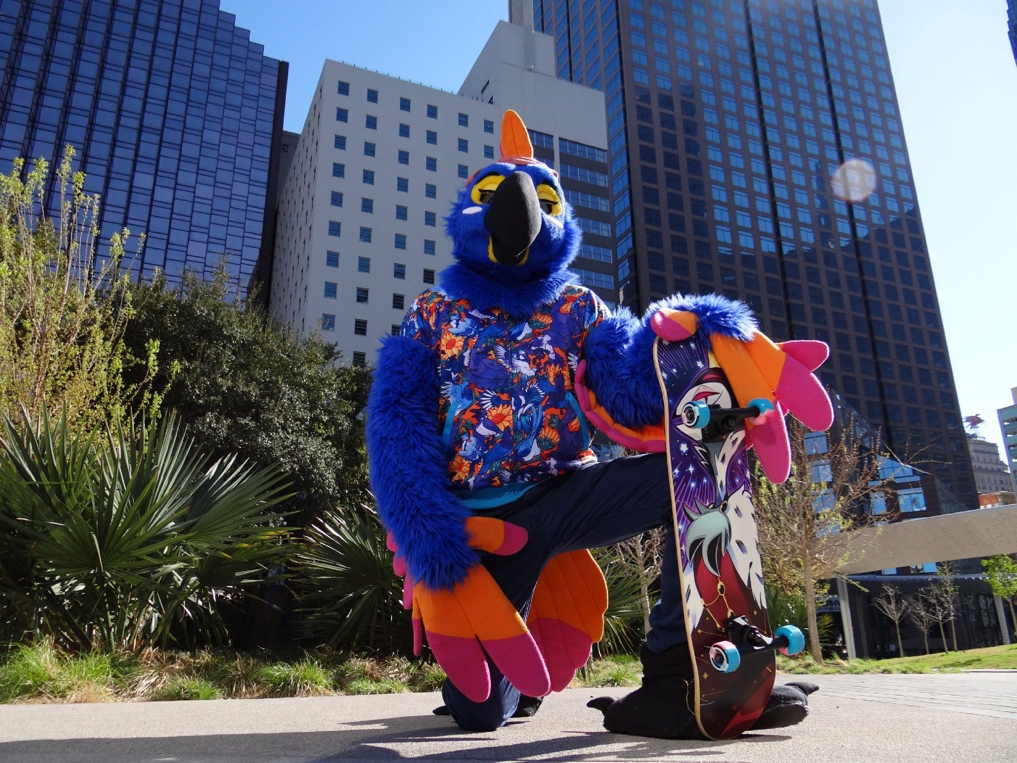 Hyacinth macaw fursuiter (myself) posing with her Stolas themed skateboard during TFF.