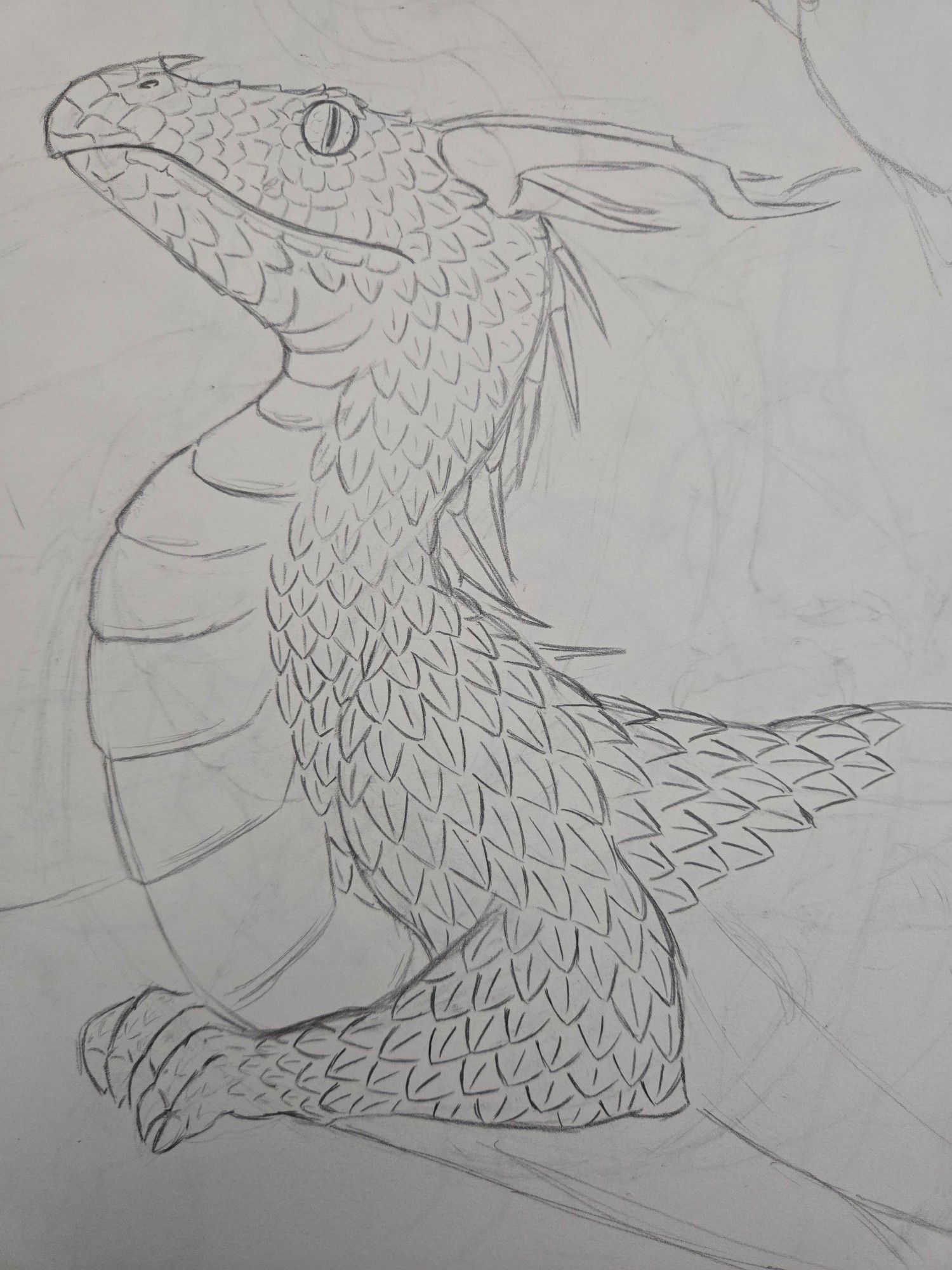 An incomplete sketch of a dragon I've been on and off adding scales to in my free time.  The head, scale shape, and eyeballs come from a bush viper.  The dragon is sitting very prim and proper with their head slightly pulled back.