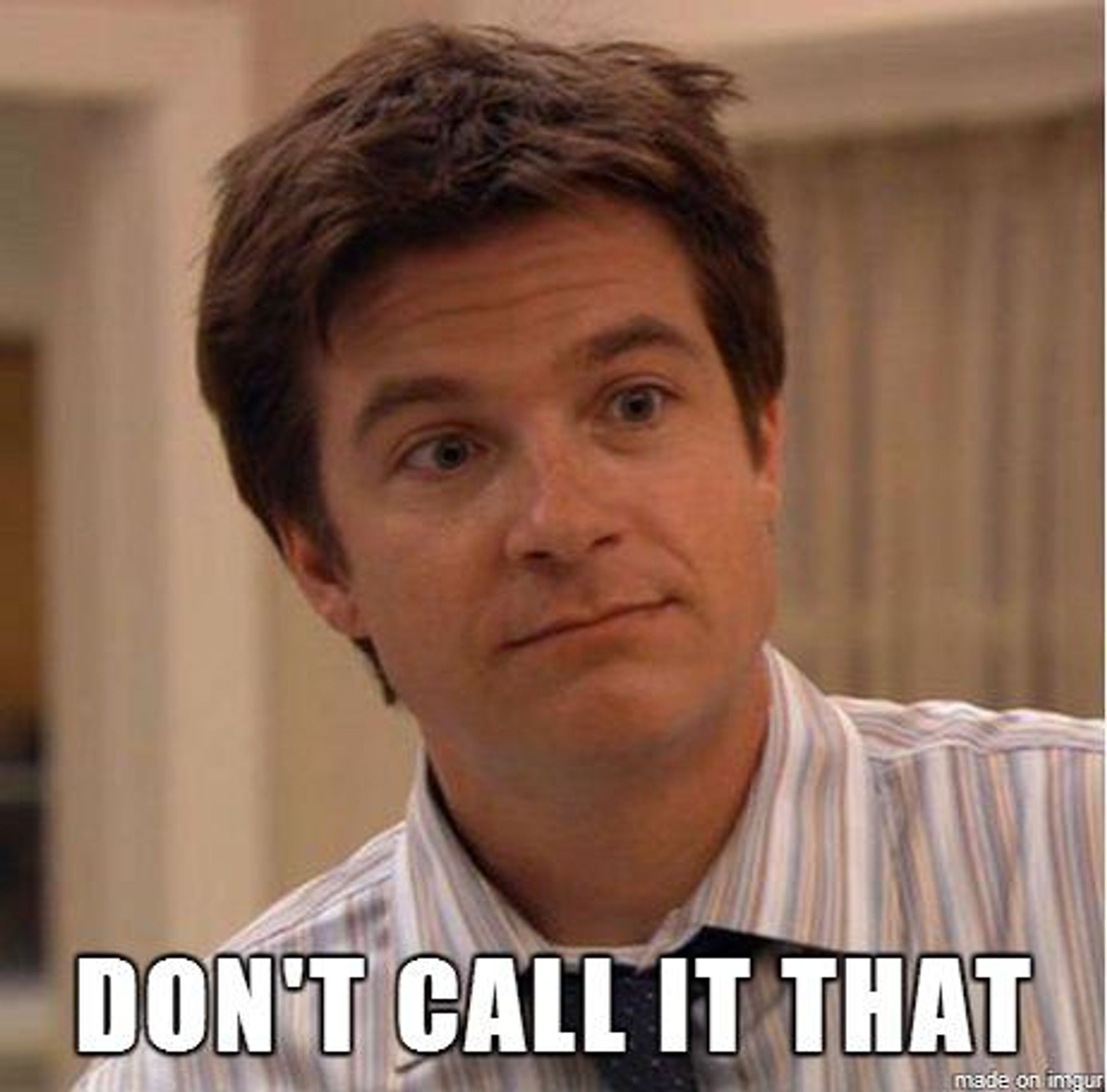 Screenshot of Jason Bateman as Michael Bluth in the television program Arrested Development, captioned with his iconic line "Don't call it that."