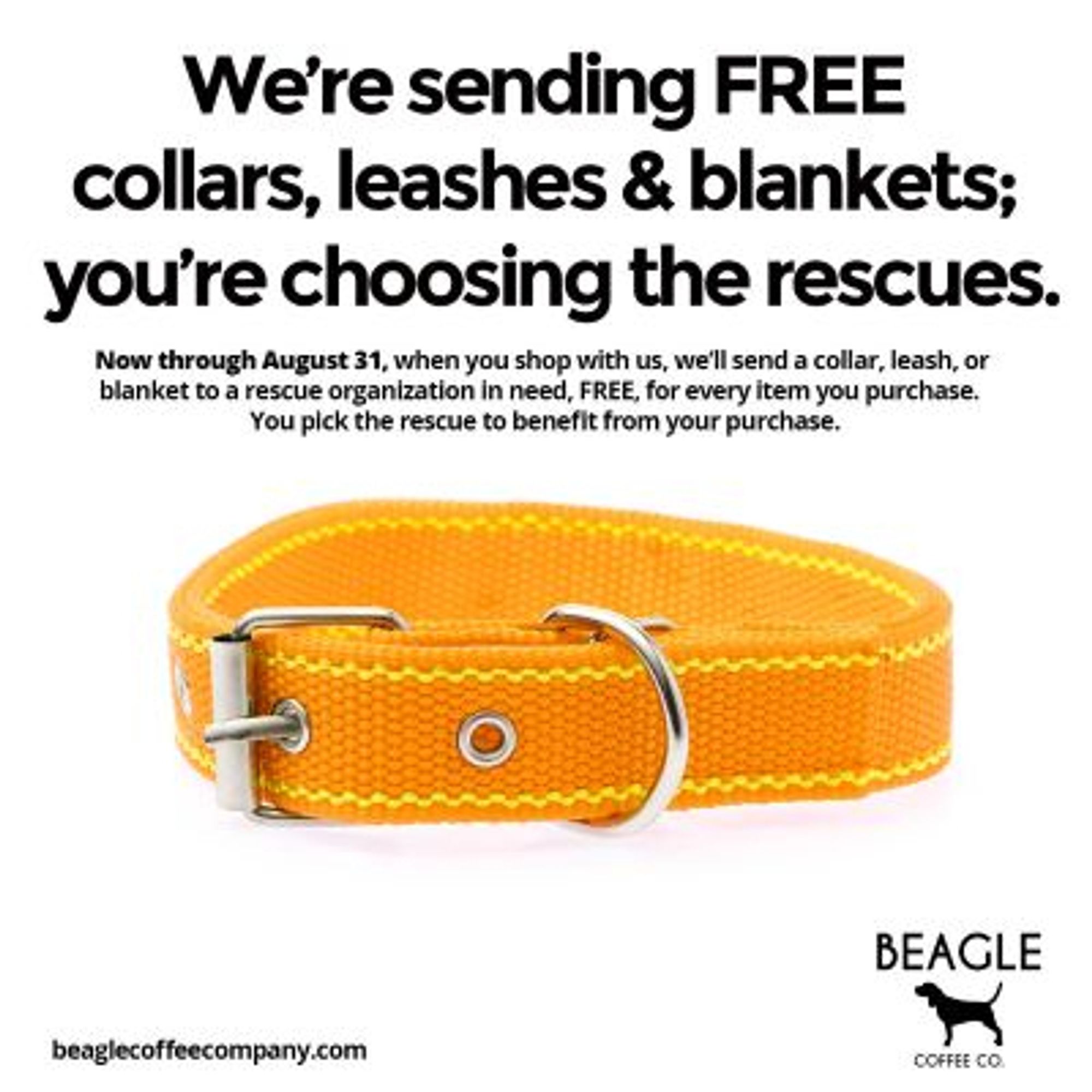 Picture of a dog collar as part of an ad from Beagle Coffee Co. They are donating dog collars, leashes and blankets when you order by Aug 31, 2024.