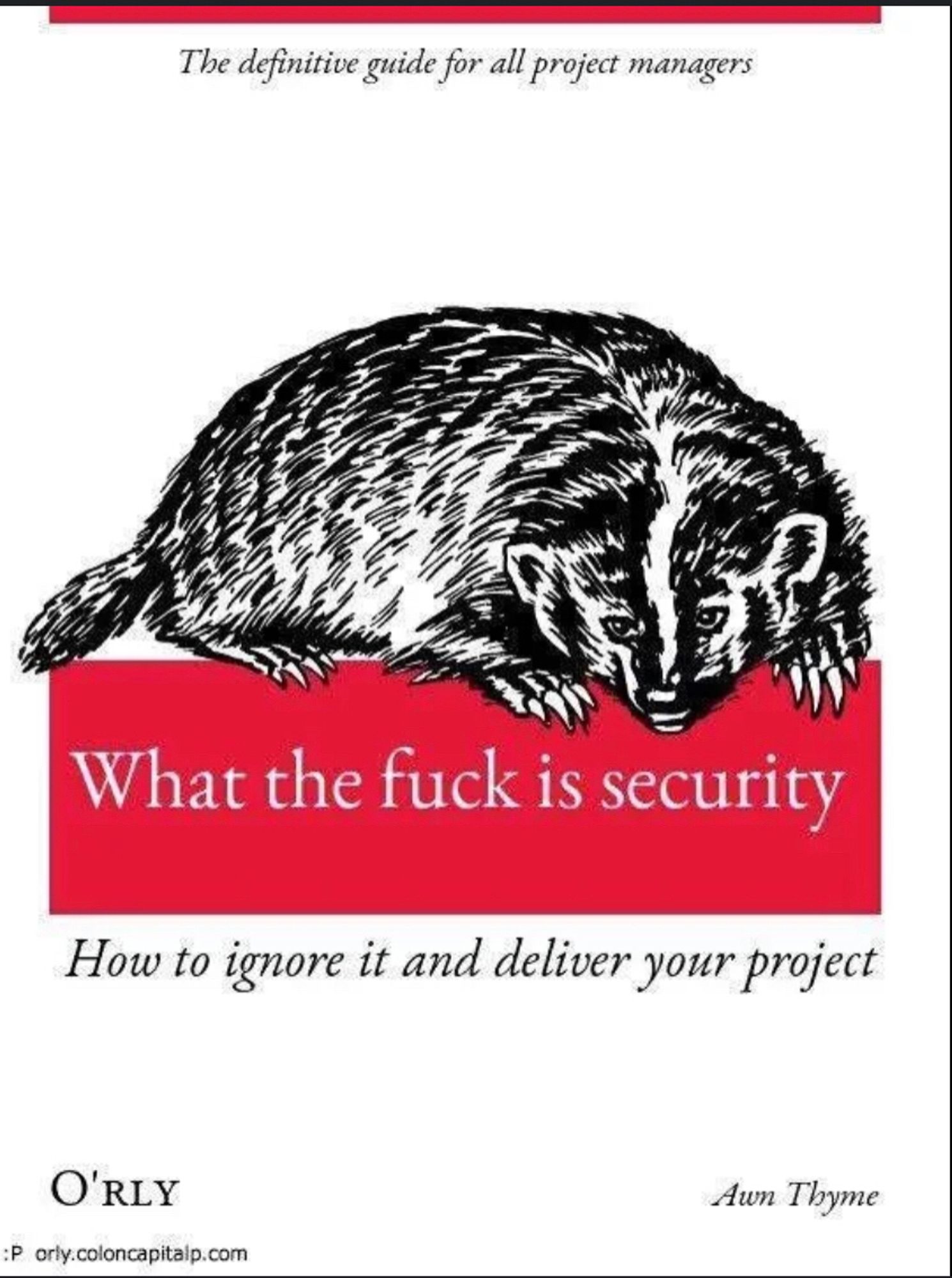 What the fuck is security (How to ignore it and deliver your project)
Couverture de livre fictif reprenant le design des (vrais) livres spécialisés O’Reilly