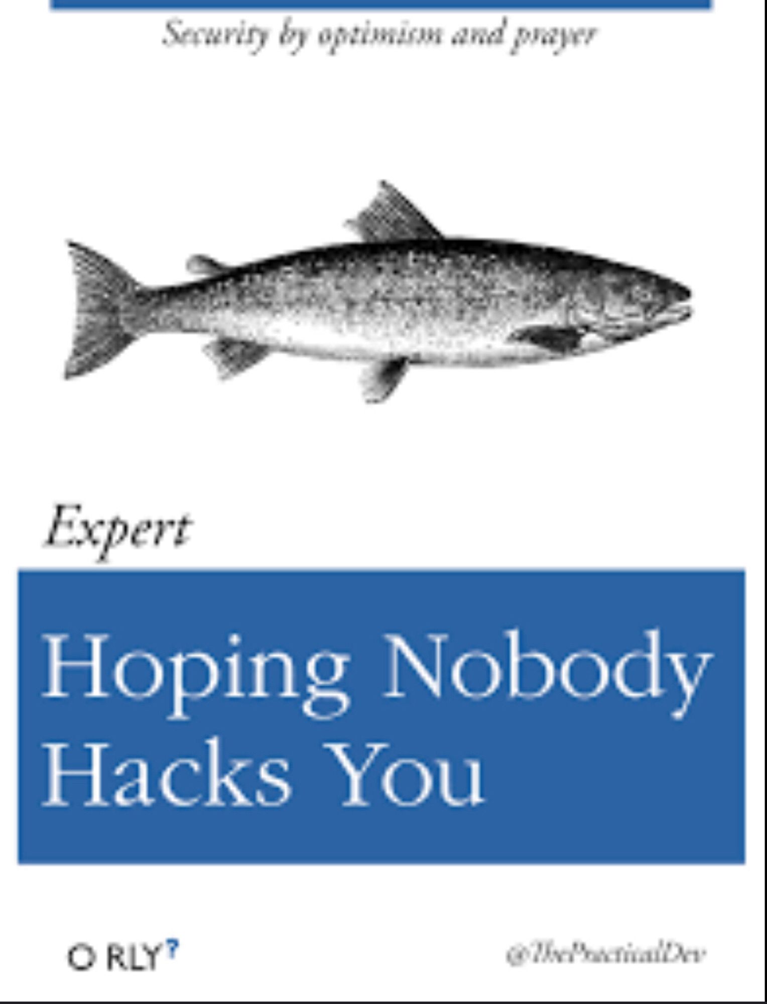 Hoping Nobody Hacks You (security by optimism and prayer)
Couverture de livre fictif reprenant le design des (vrais) livres spécialisés O’Reilly