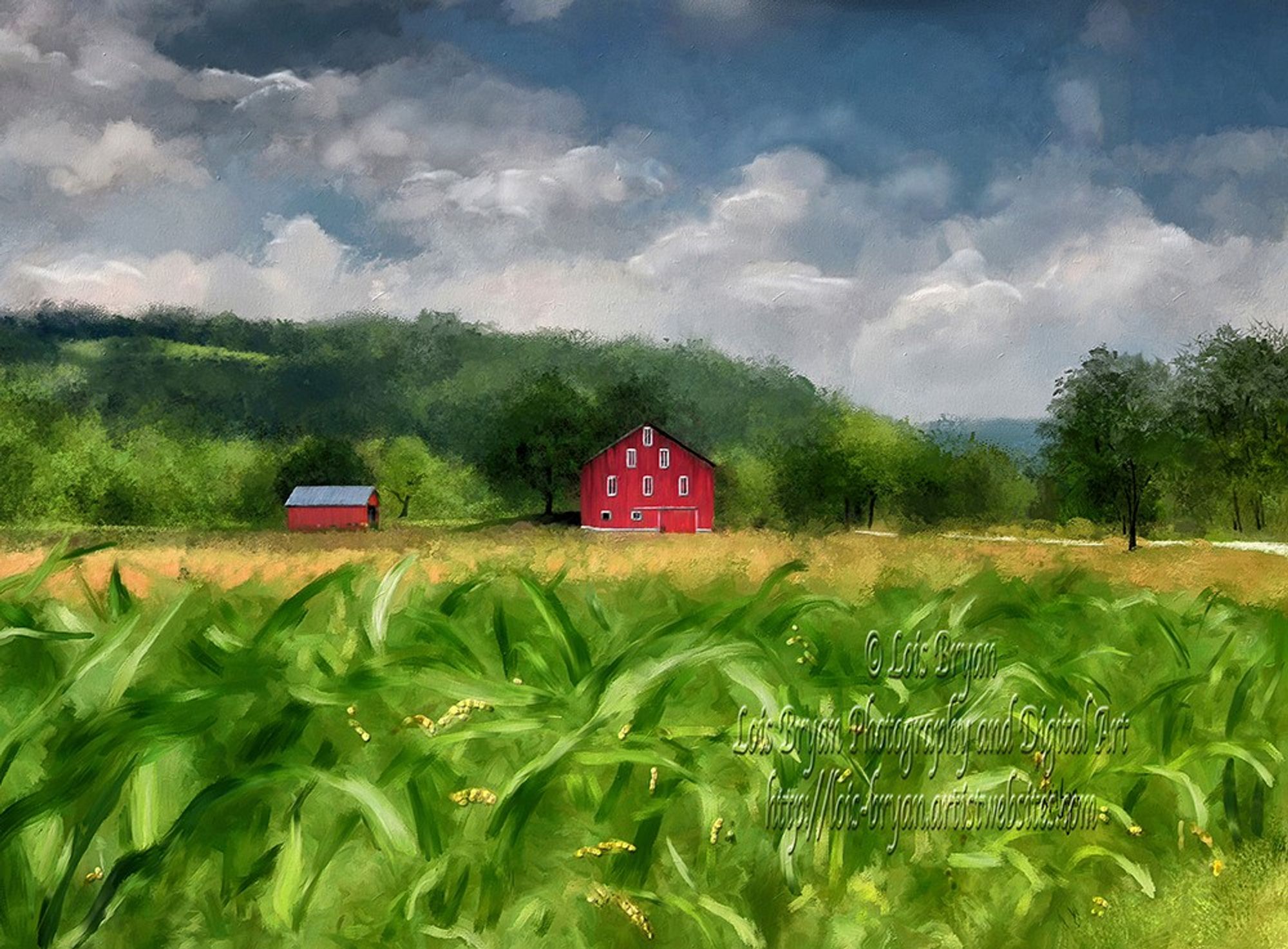 "Summer Cornfield" … A brilliant green cornfield, the stalks already beginning to tassel at the ends, waves lazily under the summer sunshine. A drive through the heart of the Laurel Highlands in Central PA , USA, brings visual gem after visual gem. The sapphire blues of the skies, the ruby reds of the barns, the golden fields and the emerald hills and crops … all are a delight and the picture perfect examples of a summer's day in the country.

This image was hand painted in Corel Painter (not Ai) from one of my own photos (not stock or public domain), and is a cropped version of an old favorite, The Red Barn on Burnt House Road, which is also available at my shop.

At my website:  https://lois-bryan.pixels.com/featured/summer-cornfield-lois-bryan.html

#art #summer #cornfields #redbarns #PA #Pennsylvania #CentralPennsylvania #LaurelHighlands #LoisBryan